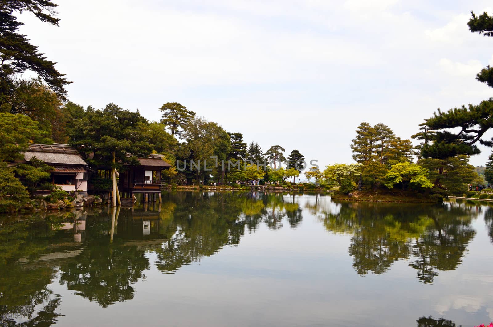 Japanese garden in Kanazawa,Japan