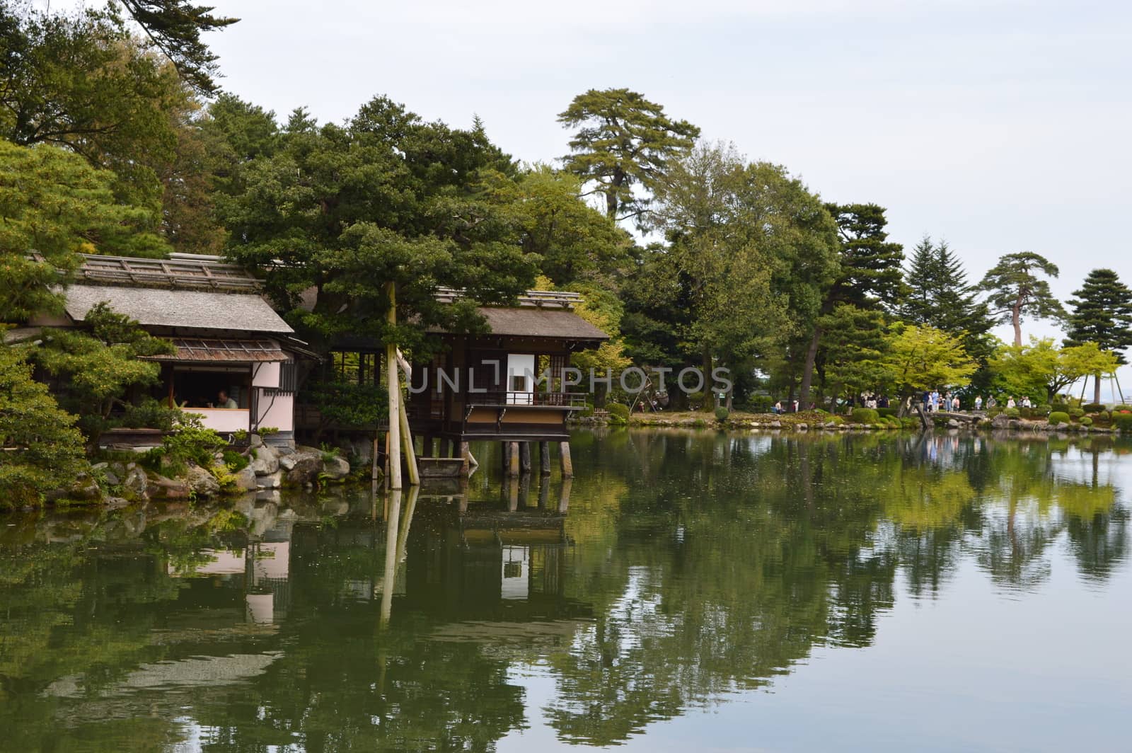 Japanese garden in Kanazawa,Japan