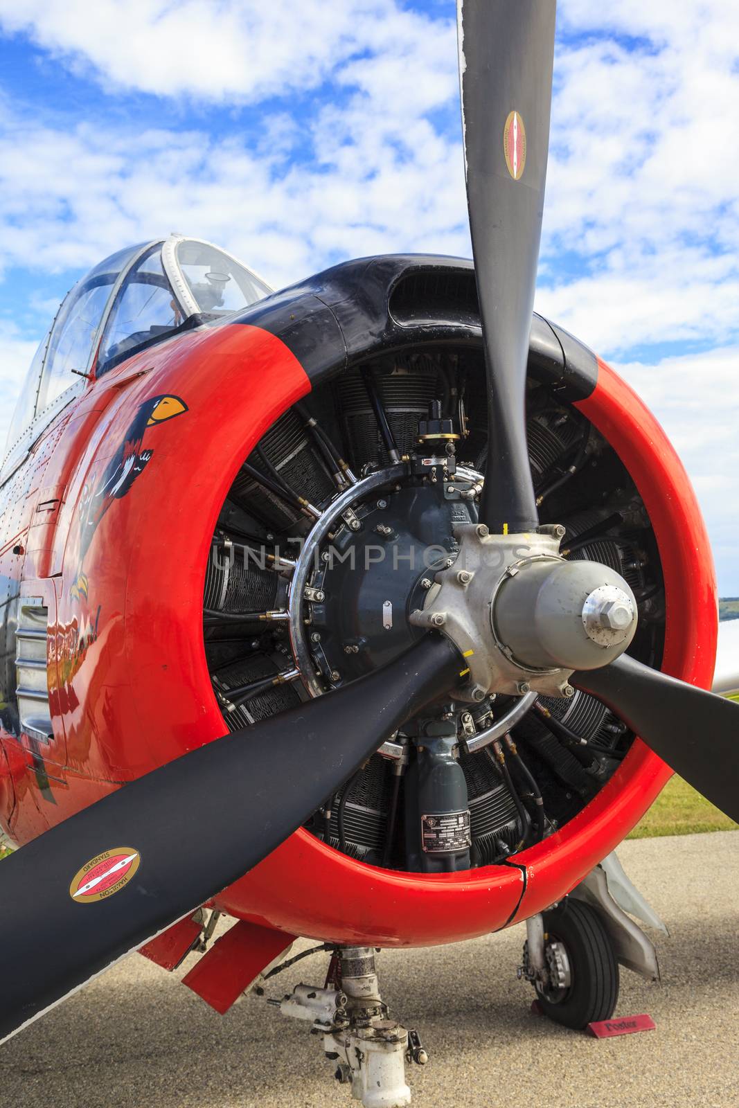 Air Show  at Springbank  Canada by Imagecom