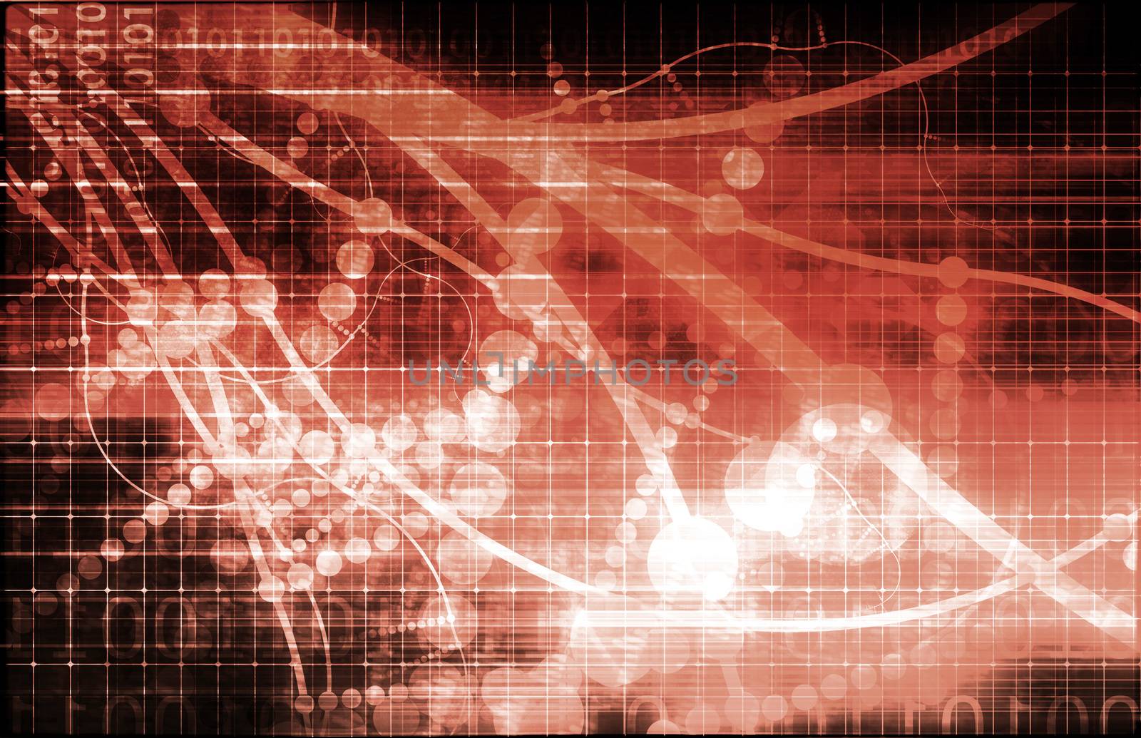 Business Analysis Network for a Company Solution