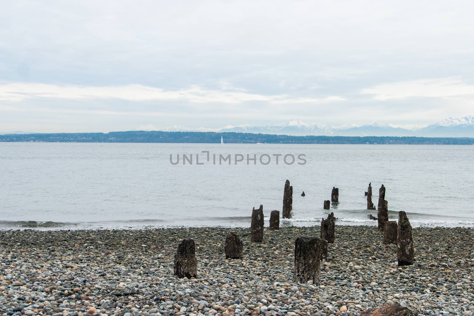 Forgotten Dock by johnborda