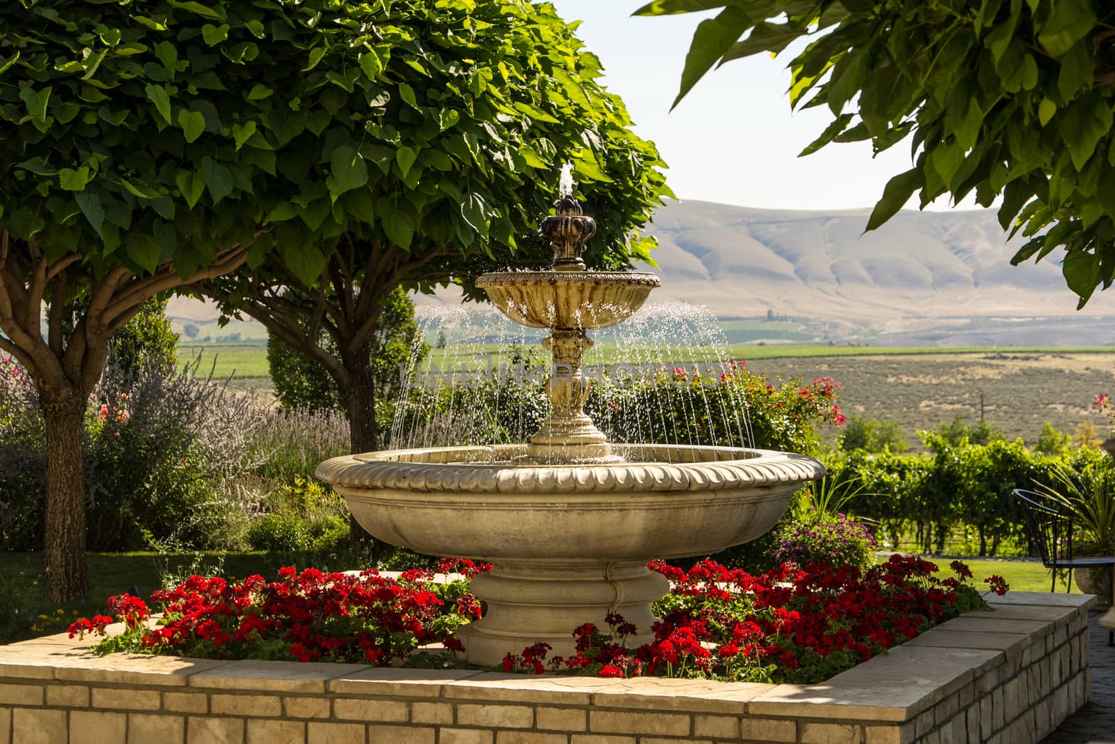 Large garden fountain by johnborda