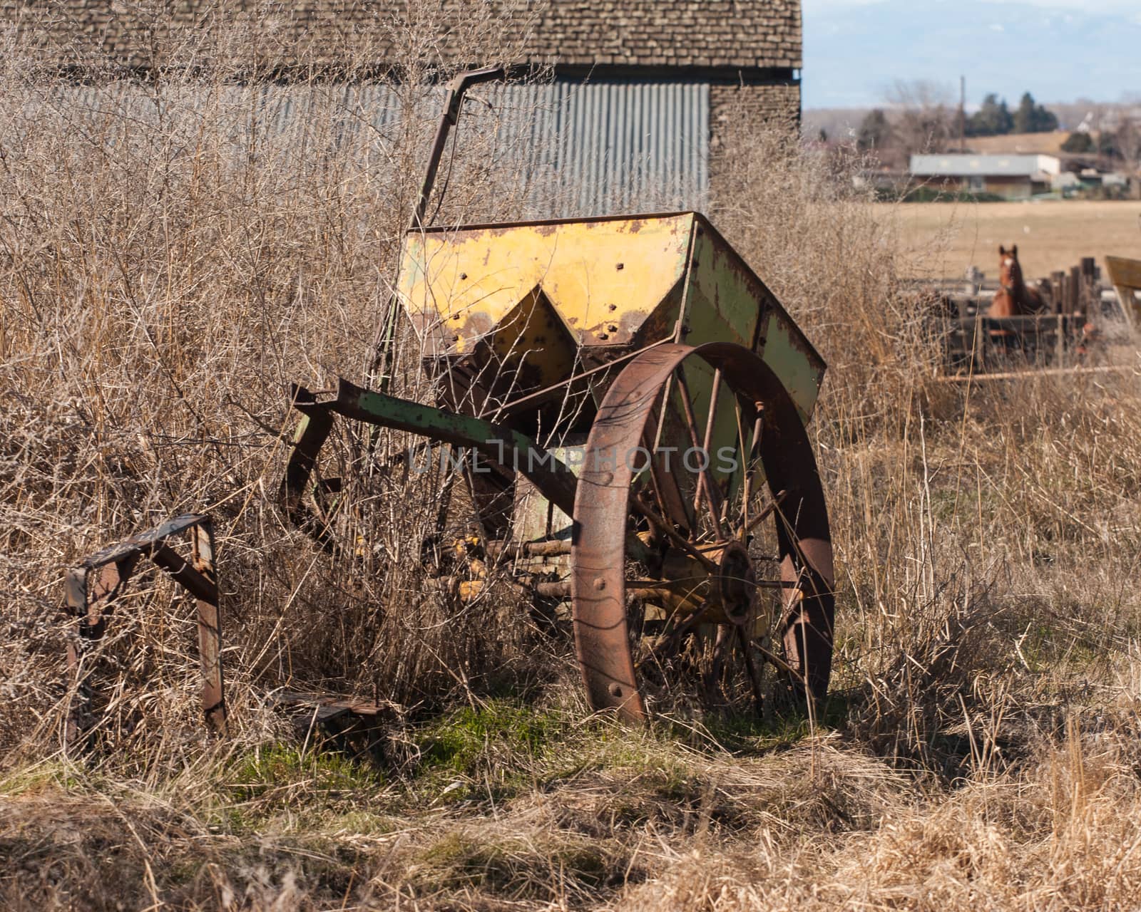 Old yellow farm equipment by johnborda