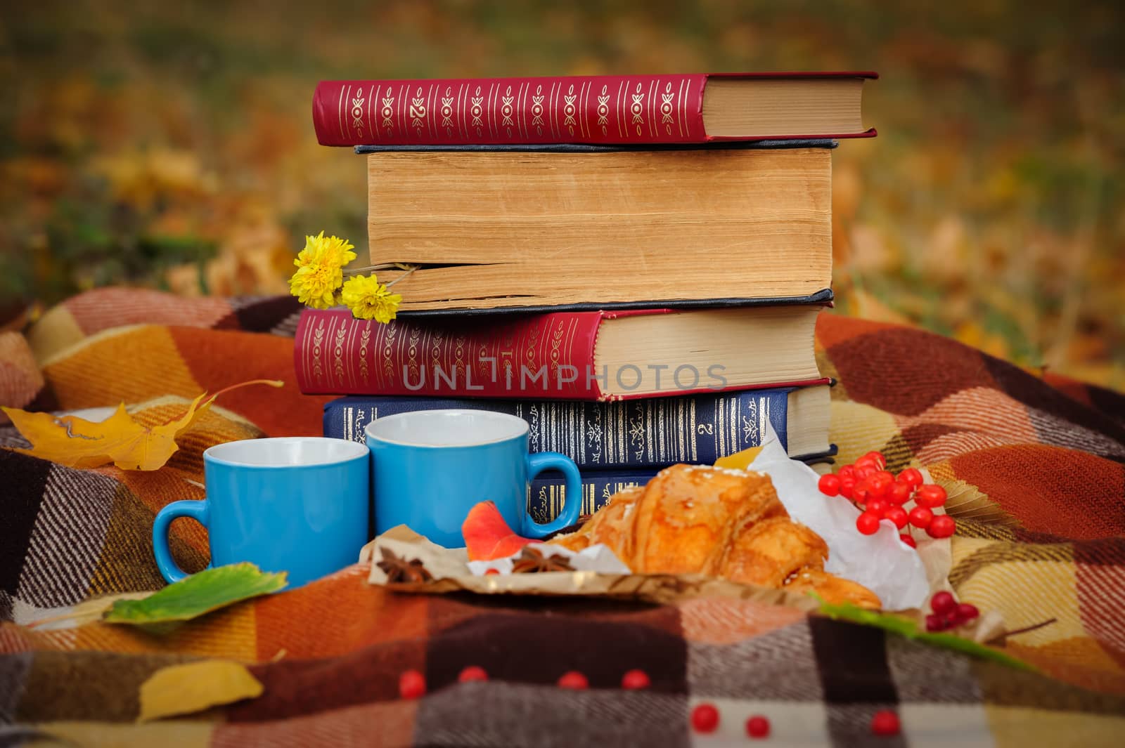 Romantic autumn still life with blanket, croissant, book, coffee cups and leaves, top view