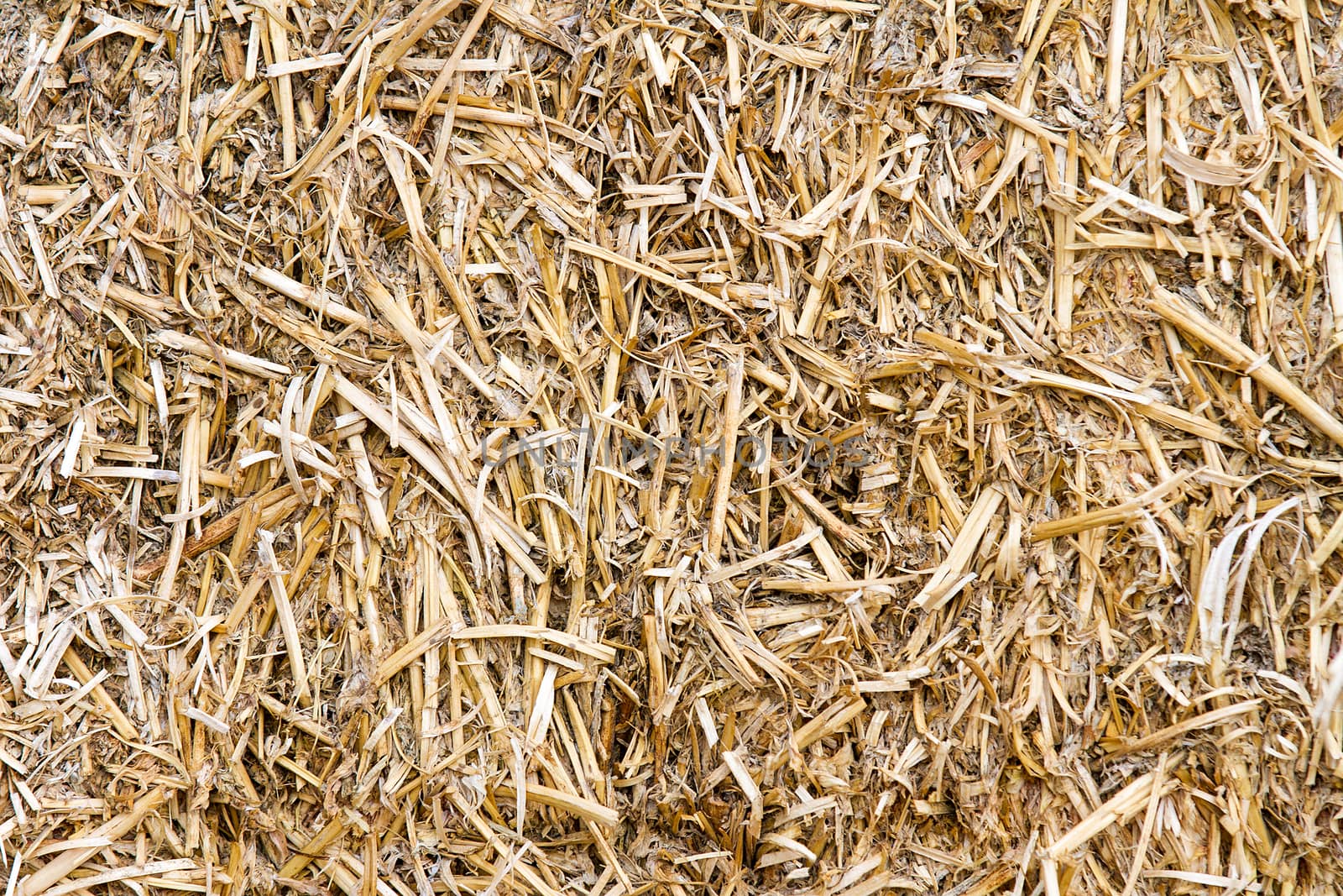 Hay bale texture up close