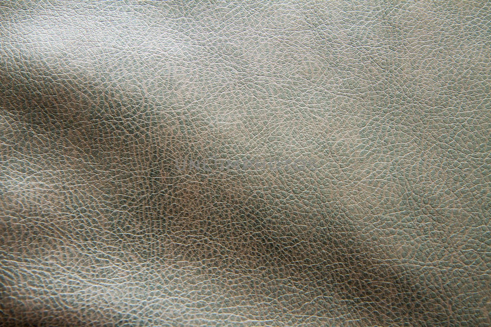 Leather showing the texture