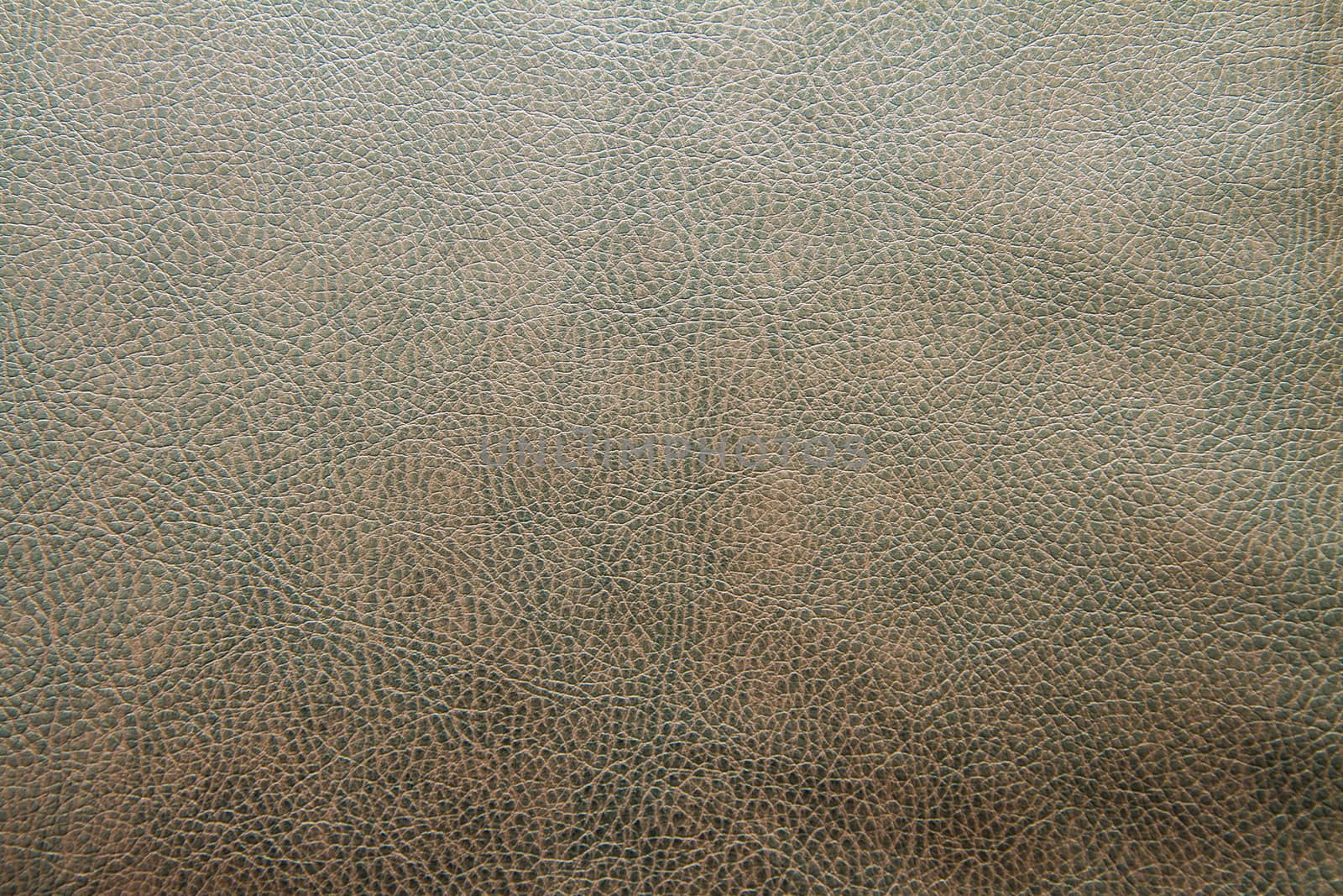 Leather, an object of luxury