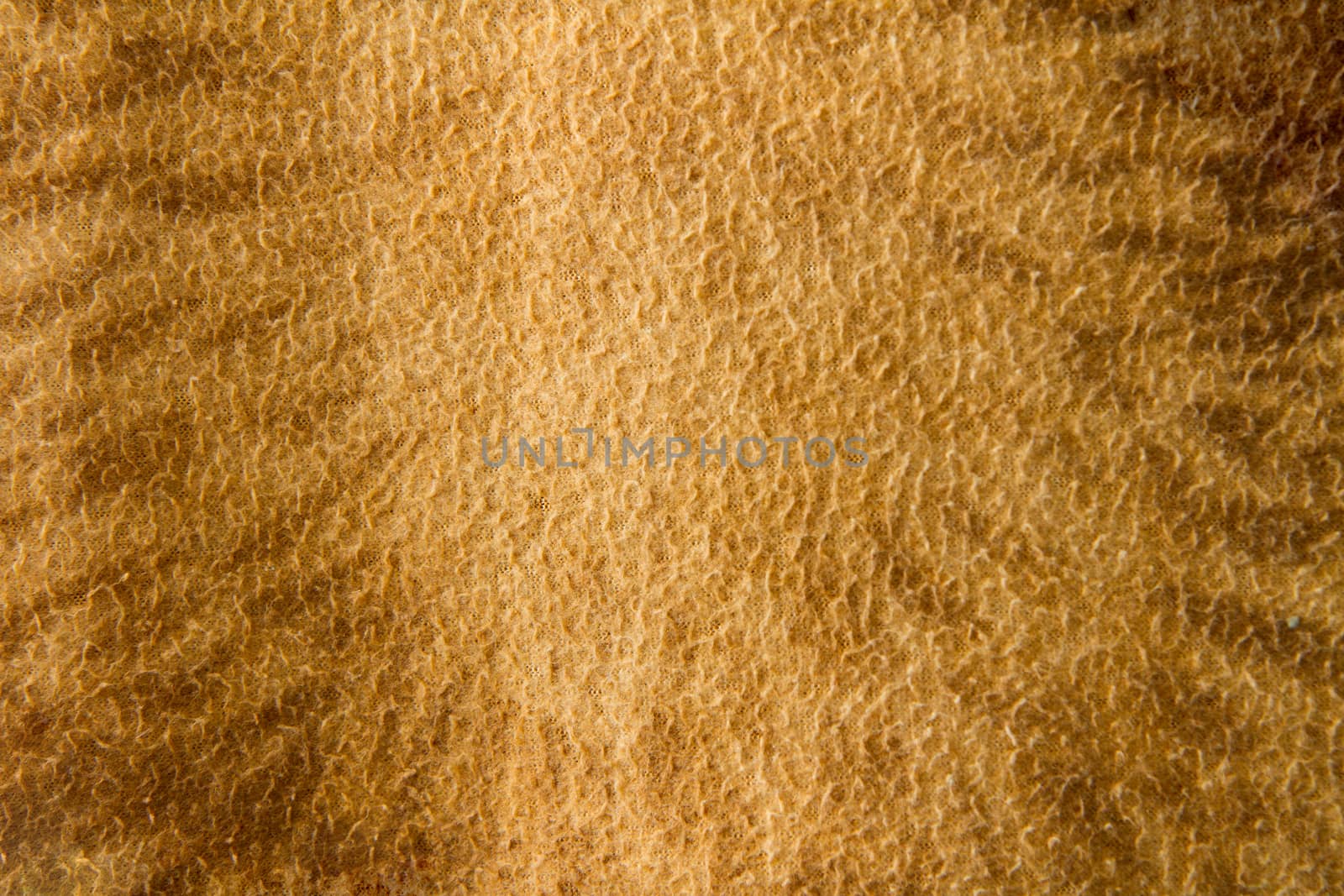 Cloth showing a nice texture getting striped and darker going out from the middle