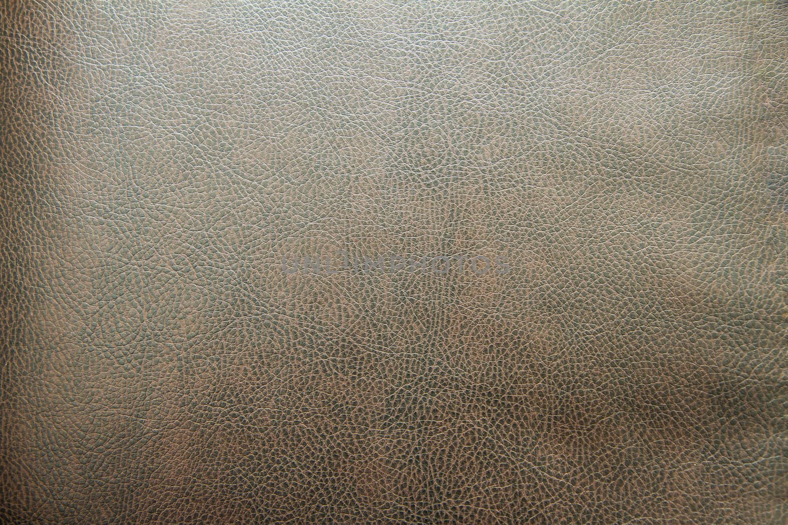 Texture of a leather background for either a couch, car, or maybe jacket?