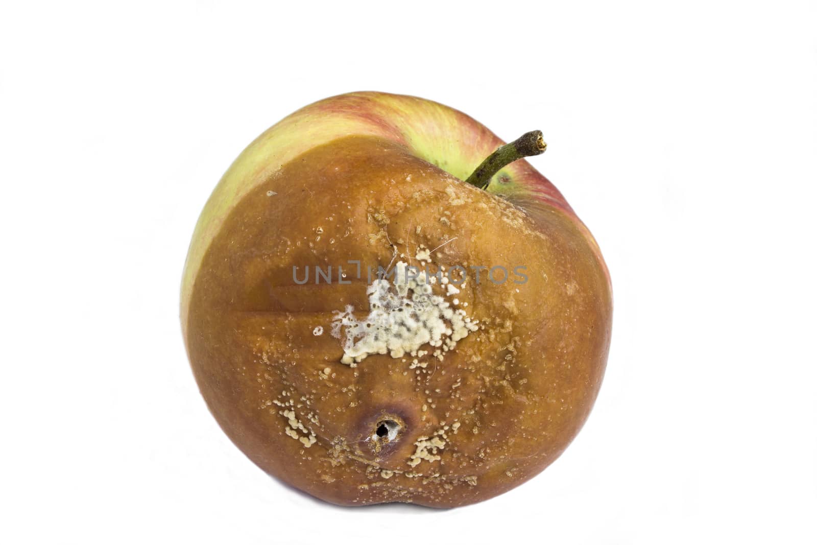Rotten apple on a white background