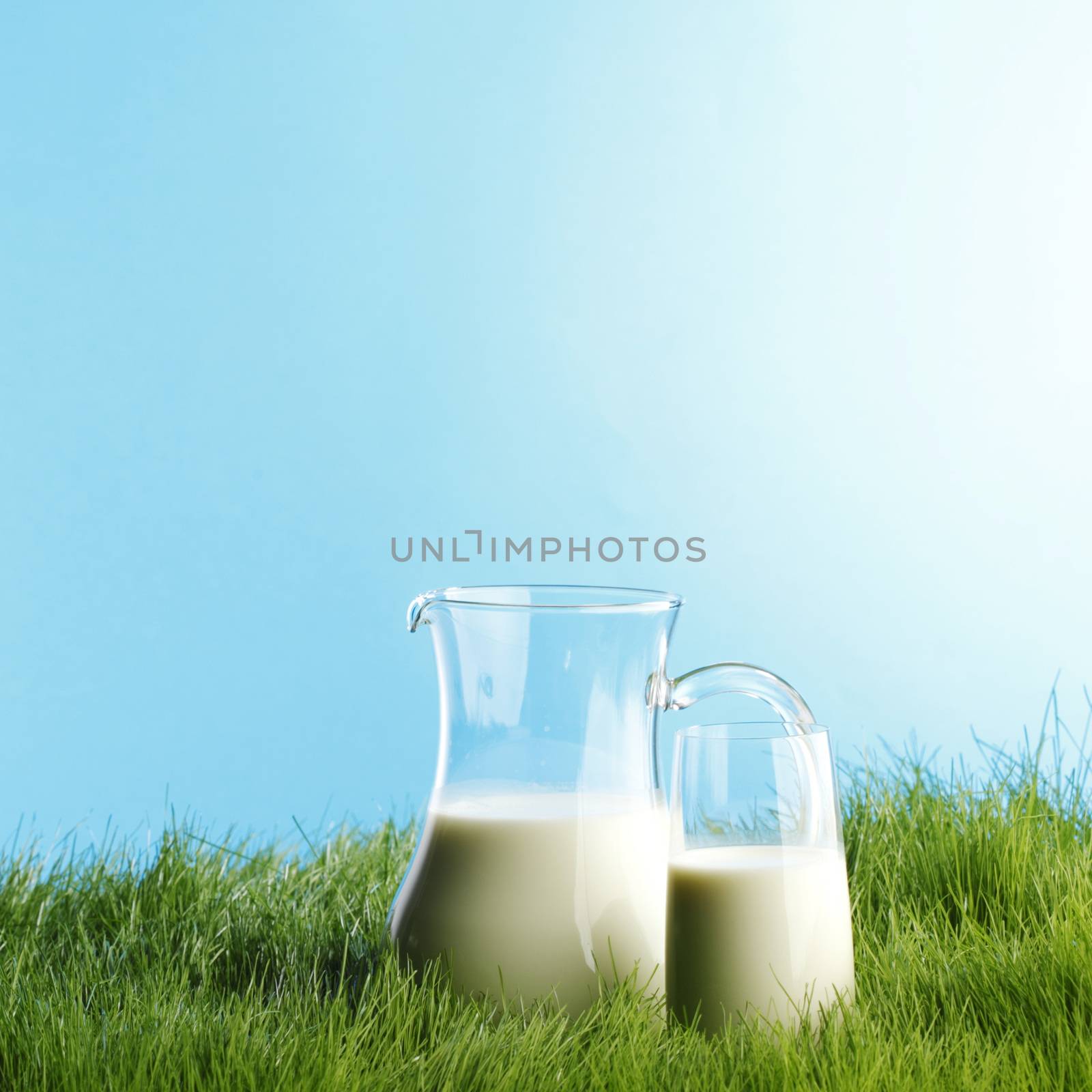 Milk jug and glass on fresh green grass field background