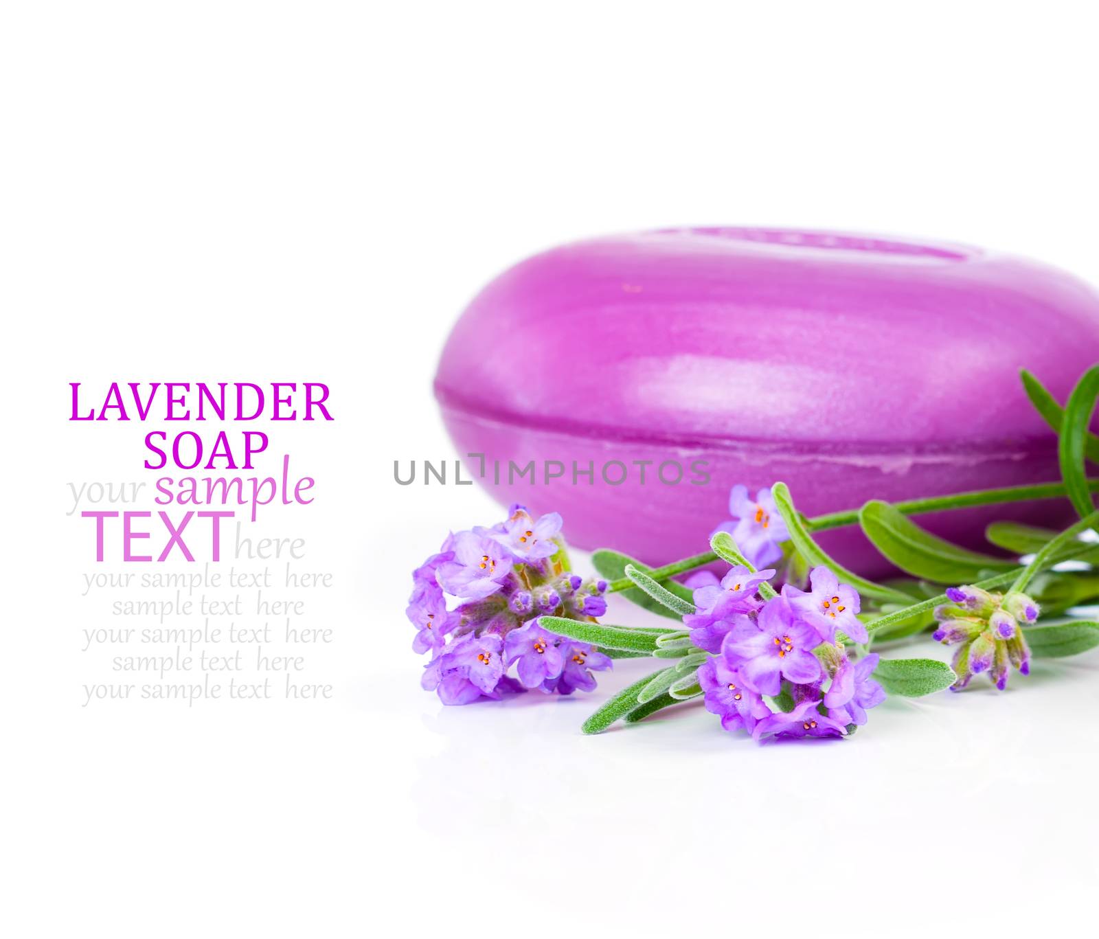 Natural handmade lavender soap and oil with fresh lavender on white background