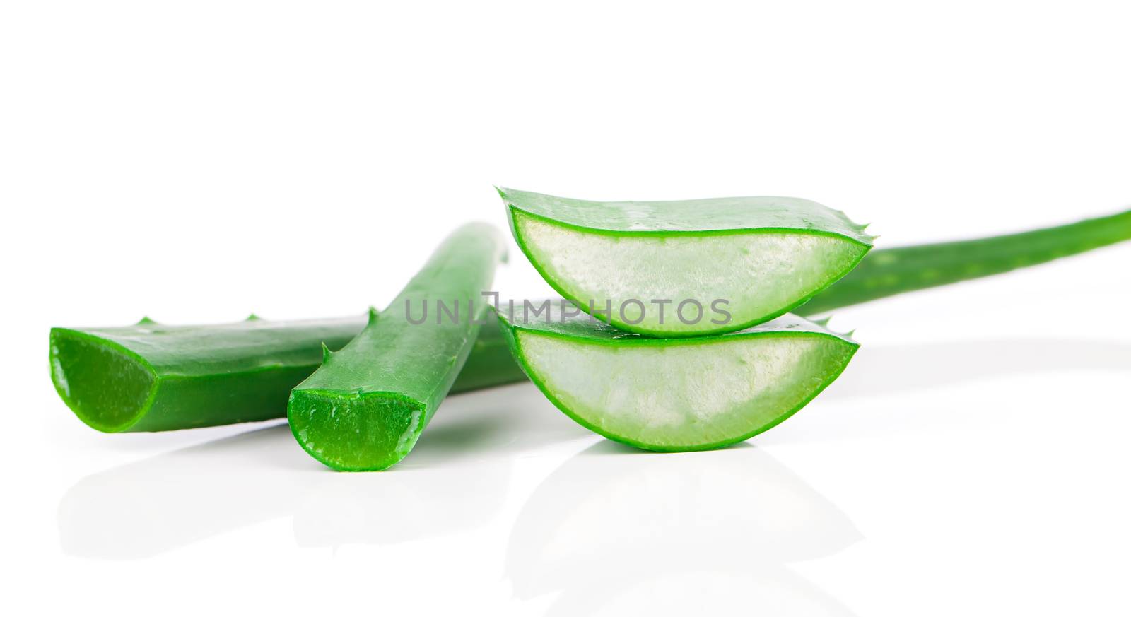 aloe vera fresh leaf. isolated over white