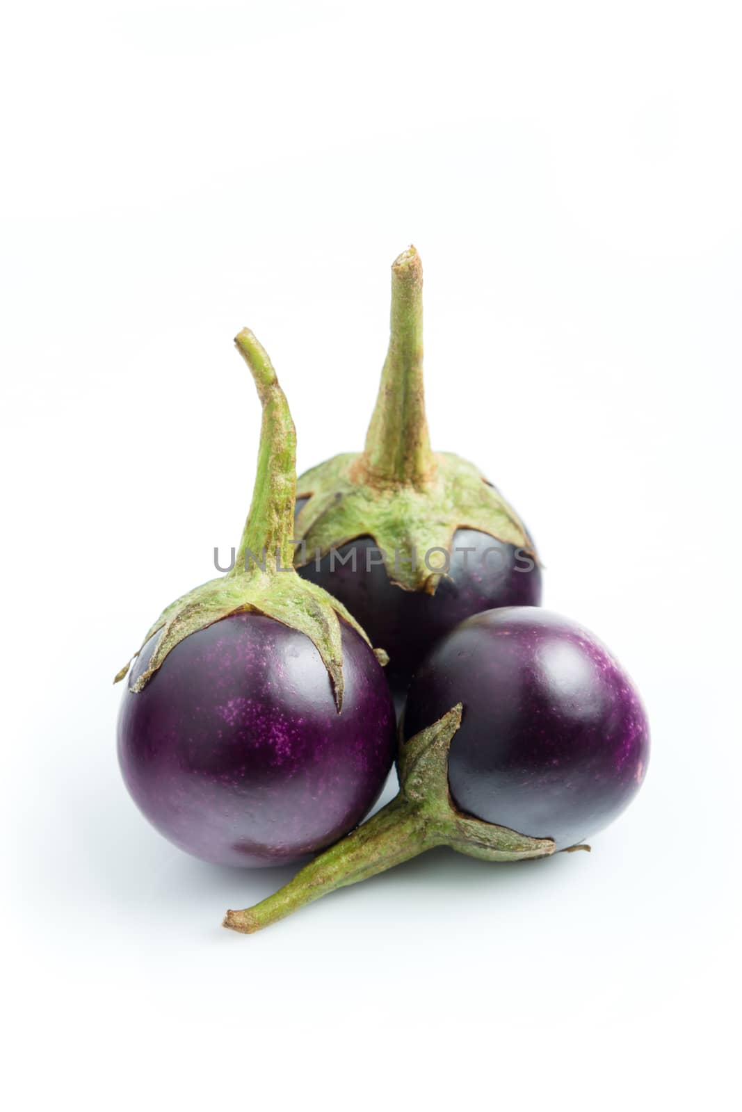 Purple Brinjal, eggplant isolated on white background