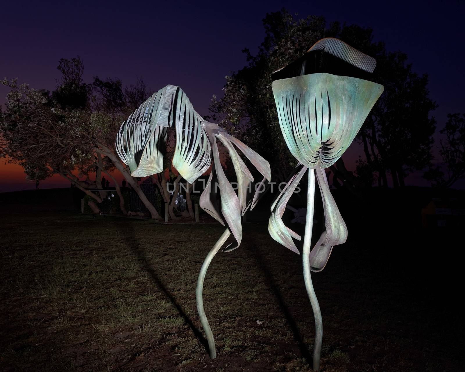 AUSTRALIA, Sydney: The Sculpture by the Sea exhibition in Sydney is photographed here on October 26, 2015 as the sun rises. The sculptures can be seen between Bondi and Tamarama and runs from October 22 to November 8, 2015. Artist: Andrew Rogers - Flora exemplar II