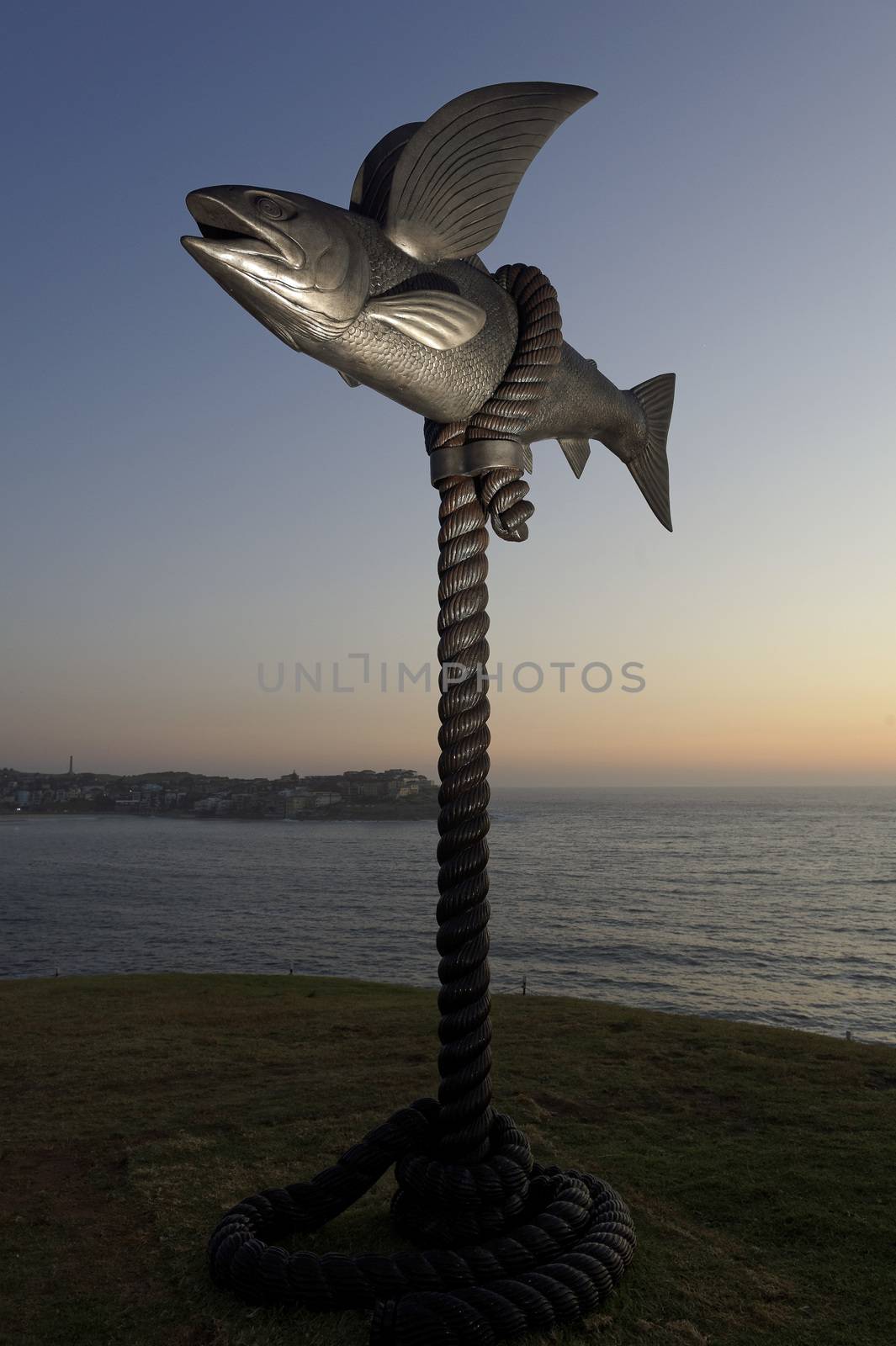 AUSTRALIA, Sydney: The Sculpture by the Sea exhibition in Sydney is photographed here on October 26, 2015 as the sun rises. The sculptures can be seen between Bondi and Tamarama and runs from October 22 to November 8, 2015. Artist: Gillie & Marc Schattner - Flying Fish