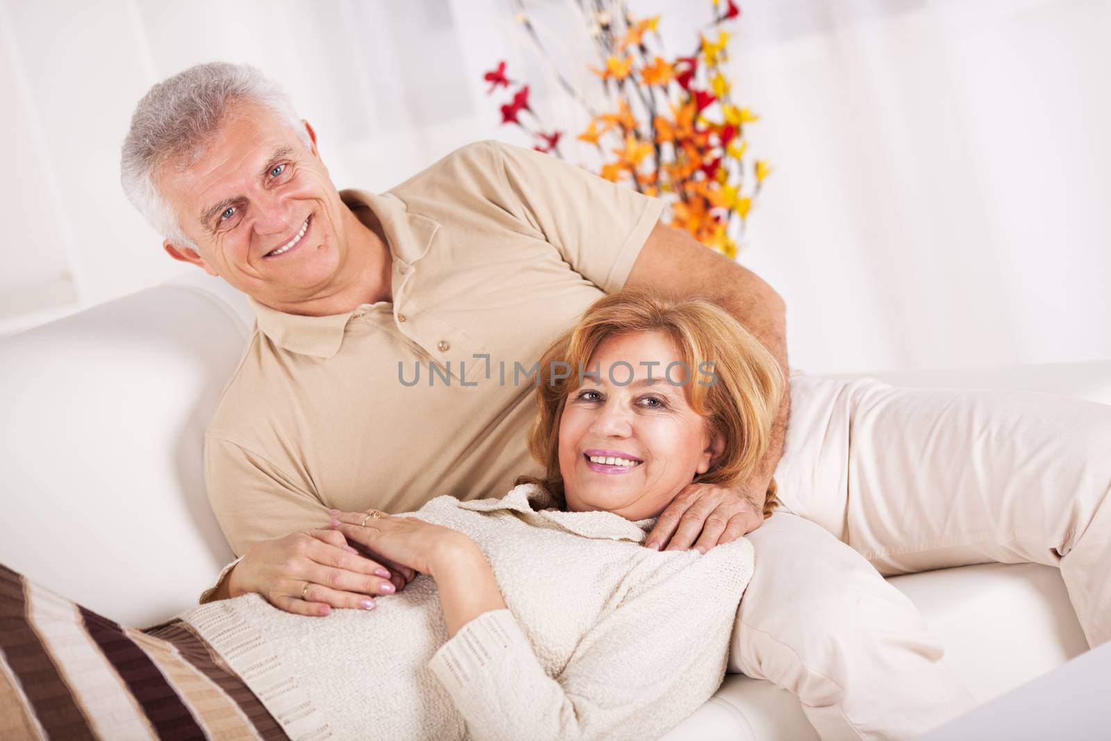 Hugging Senior couple in a living room.