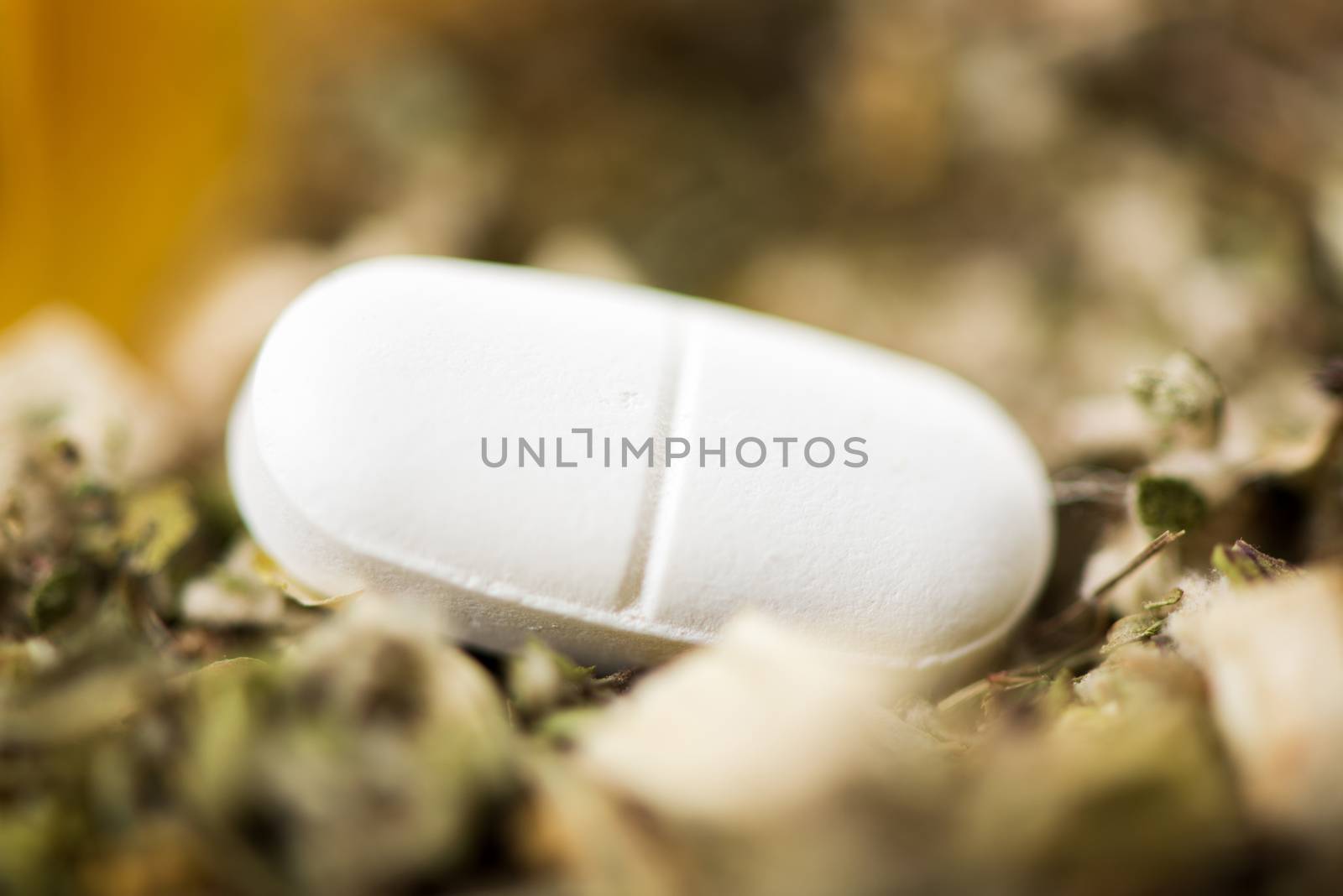 White Pill on herbal background. The focus is on the pill.
