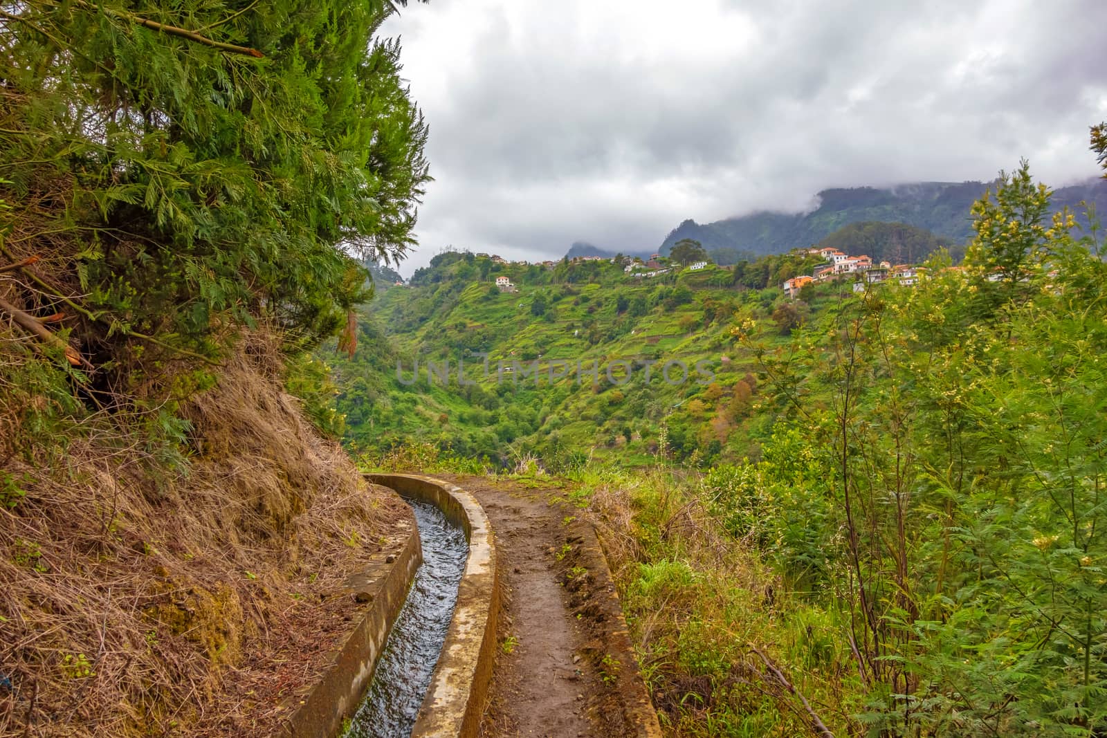 Madeira hiking, irrigation channel (Levada) in green nature