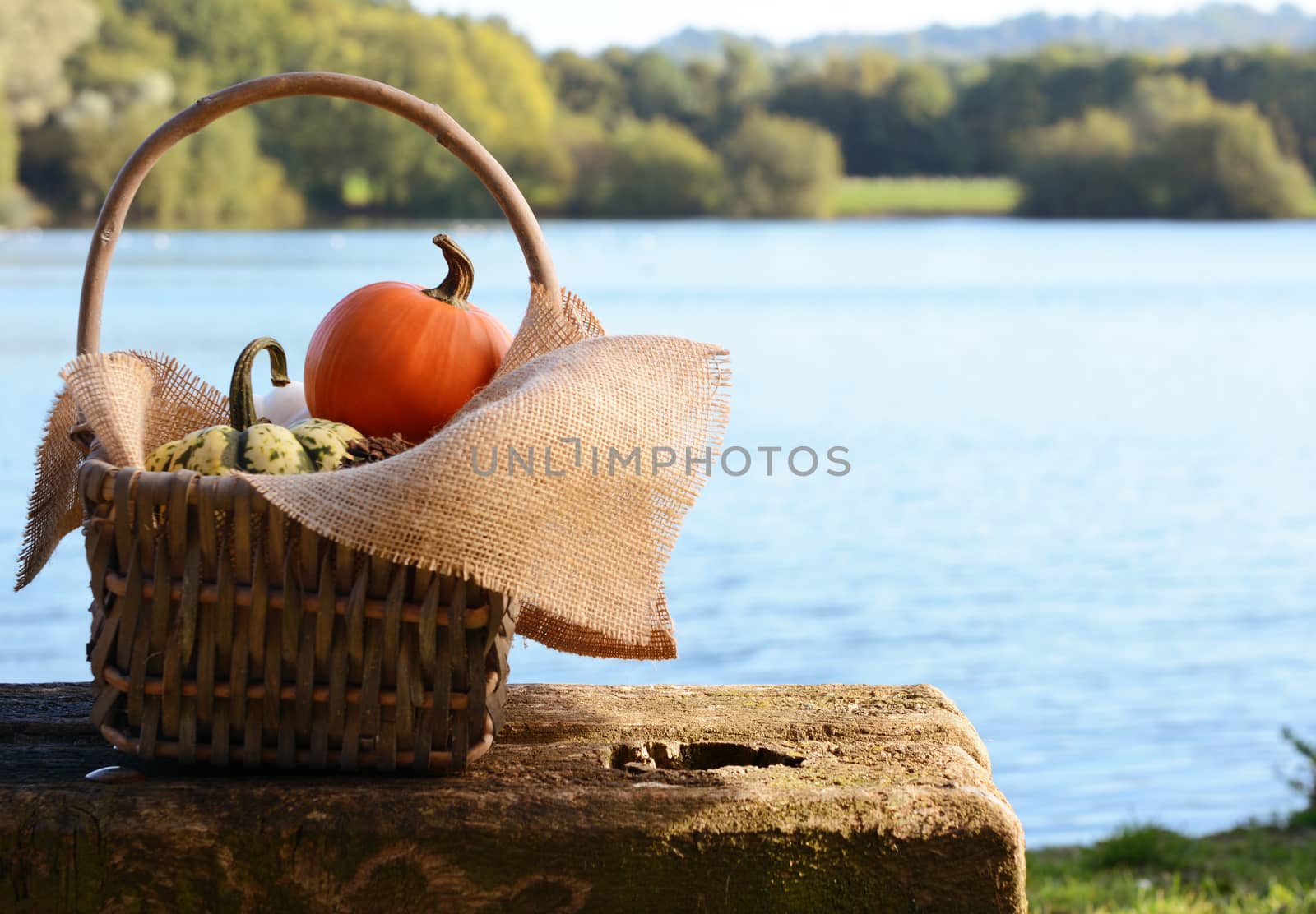 Basket lined with burlap, filled with small pumpkins on a rustic bench by a pond