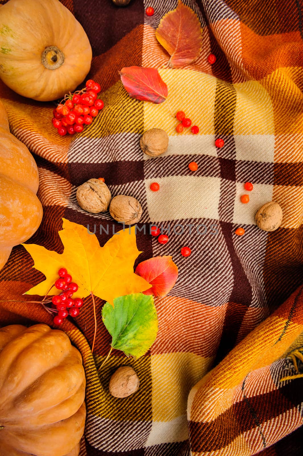 Romantic autumn still life with warm checkered plaid, pumpkins, walnuts, berries and leaves, top view