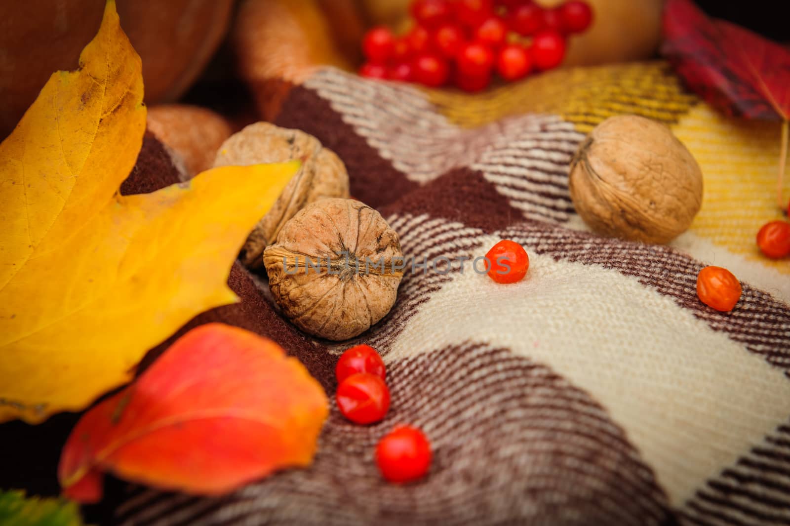 Romantic autumn still life with walnuts, berries and leaves on plaid, selective focus