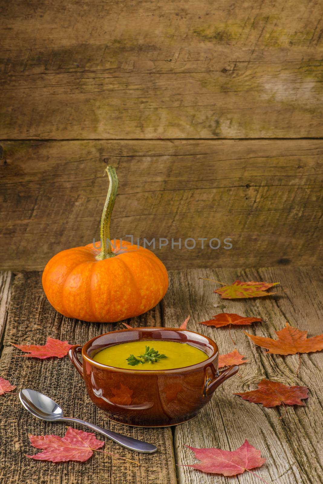 Bowl of homemade creamy pumpkin soup on a rustic autumn background.