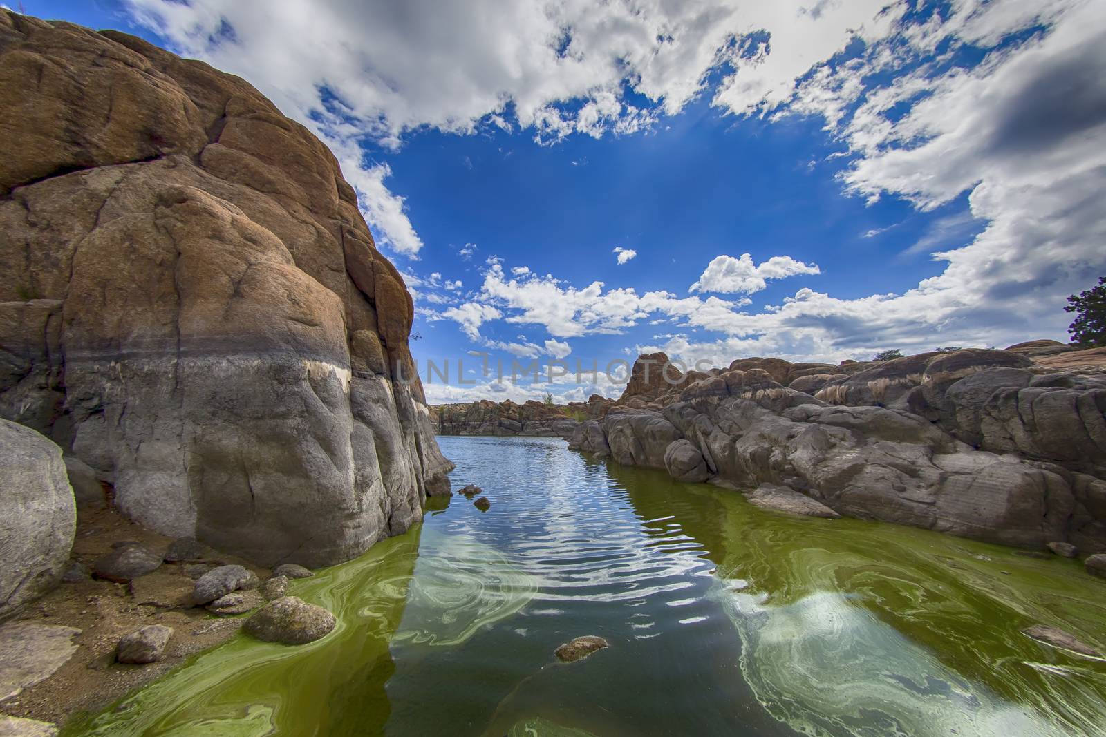 Lake views in the Arizona desert