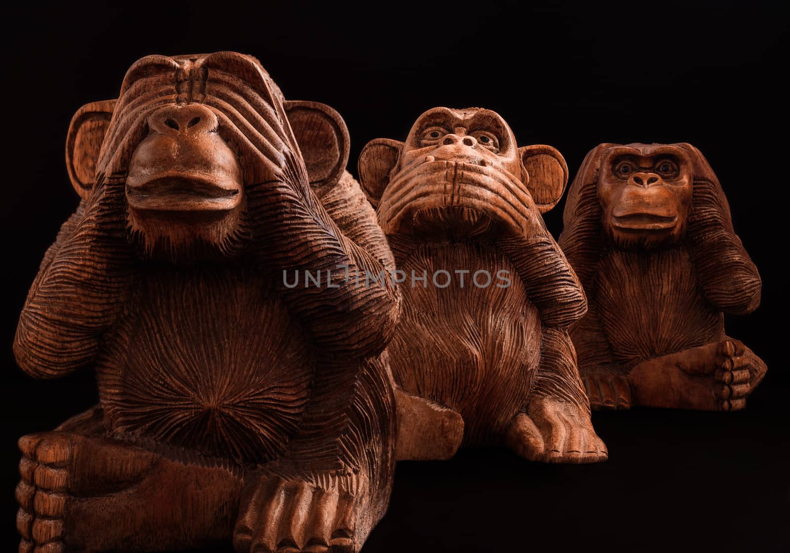 three wise monkeys by SergeyF