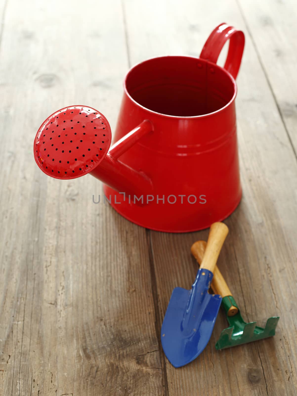  water can and garden tools on a wooden background
