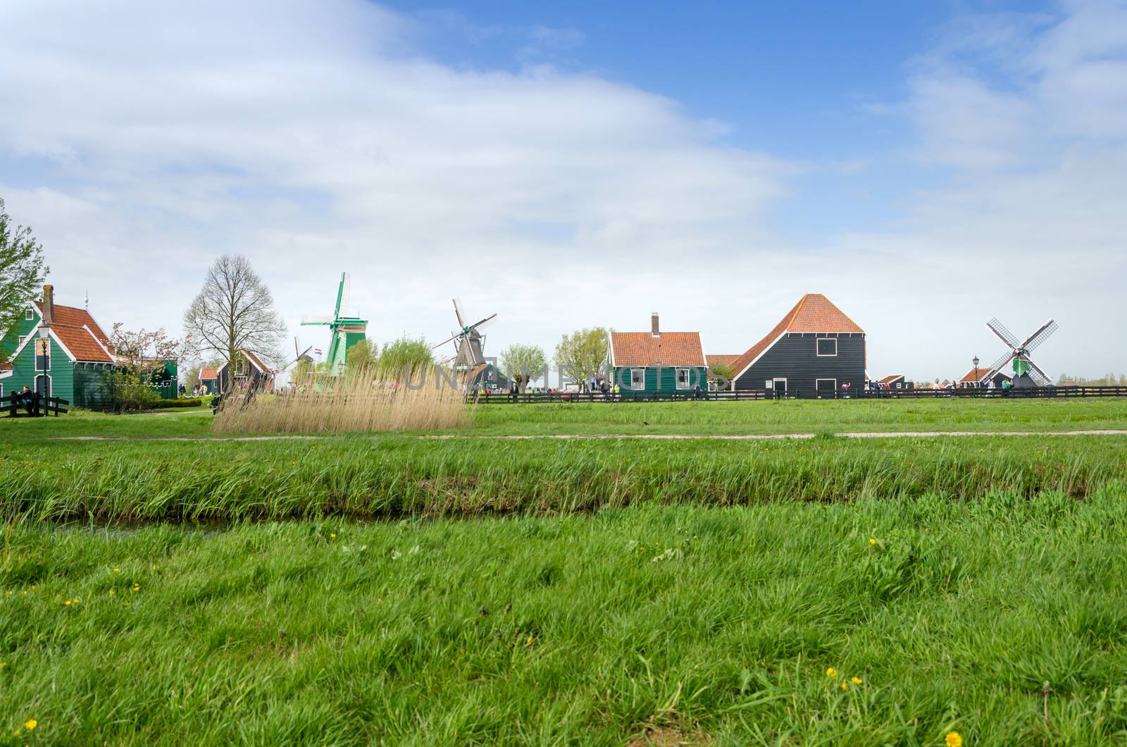 Windmills and rural houses in Zaanse Schans by siraanamwong