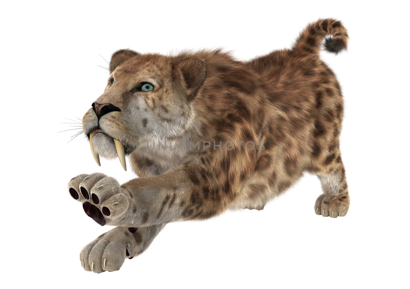 3D digital render of a big cat sabertooth stretching isolated on white background