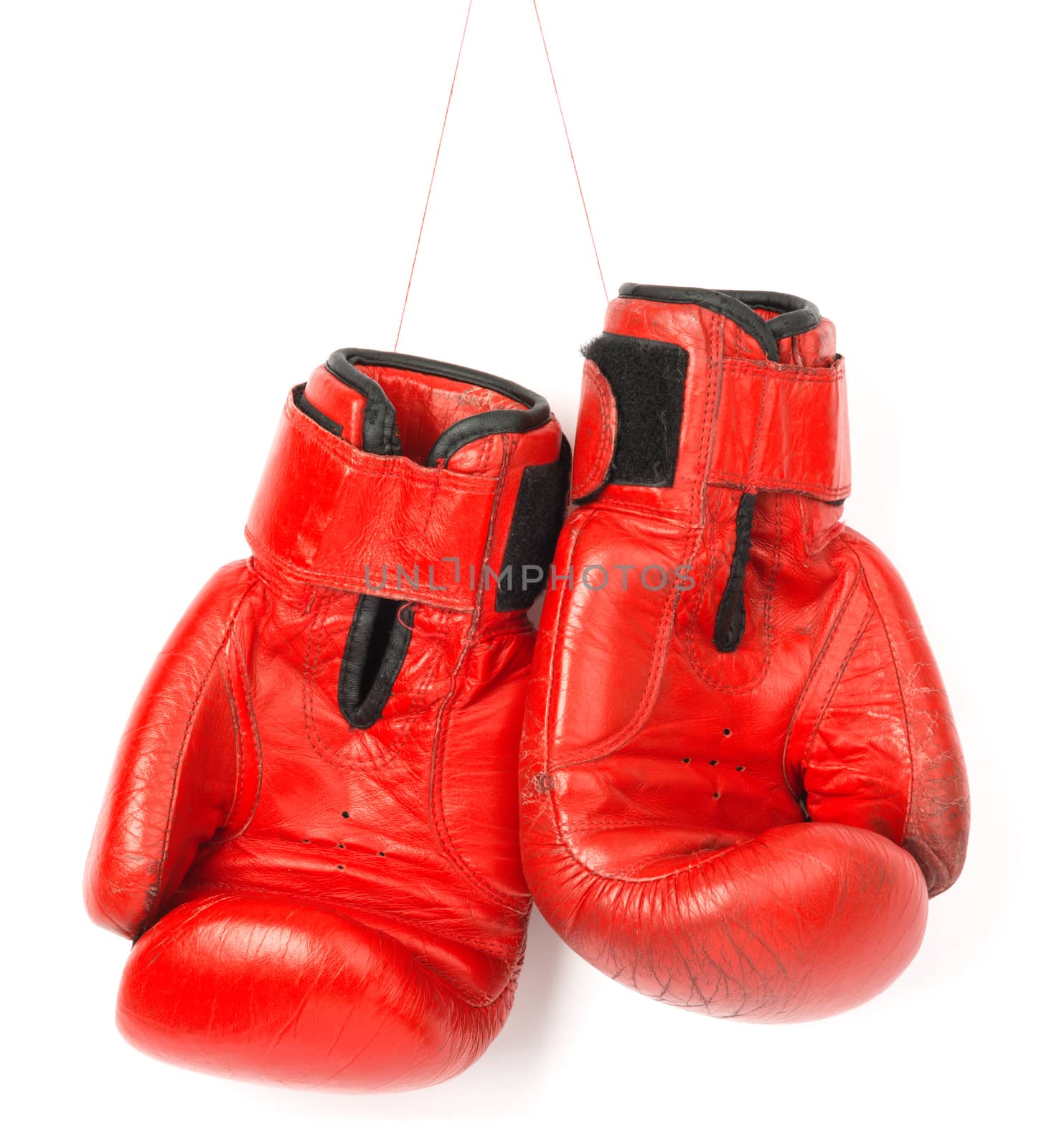 Red boxing gloves on white background by cherezoff