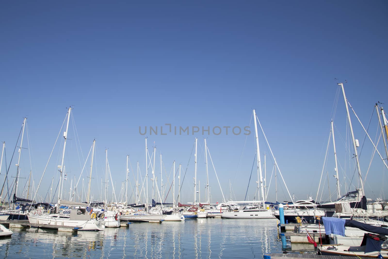 Harbour, yachts and boats