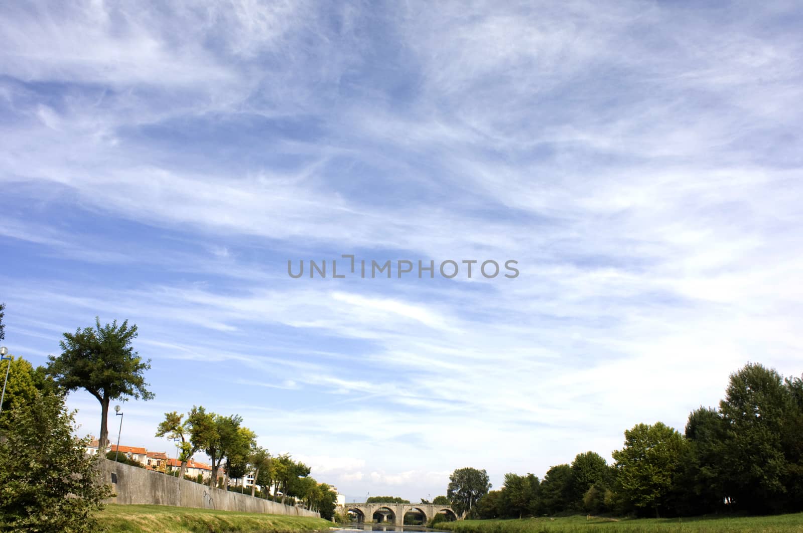 Row of trees and sky by mattkusb