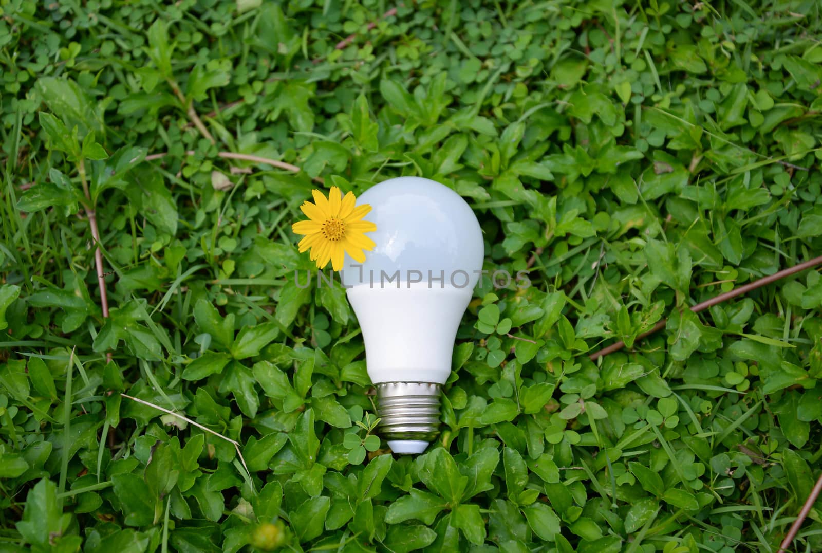 LED Bulb - Technology of eco-friendly lighting