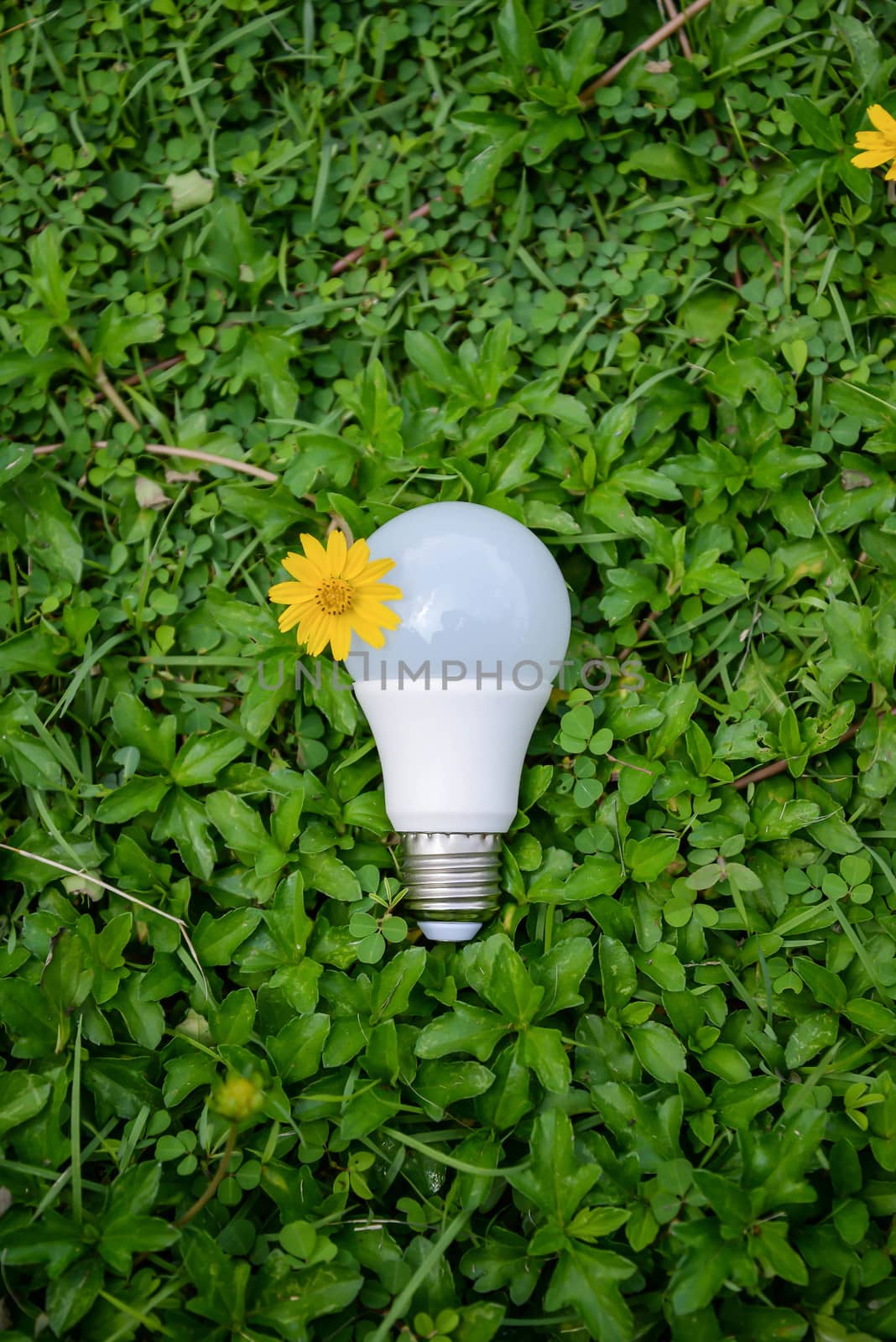 LED Bulb - Technology of eco-friendly lighting