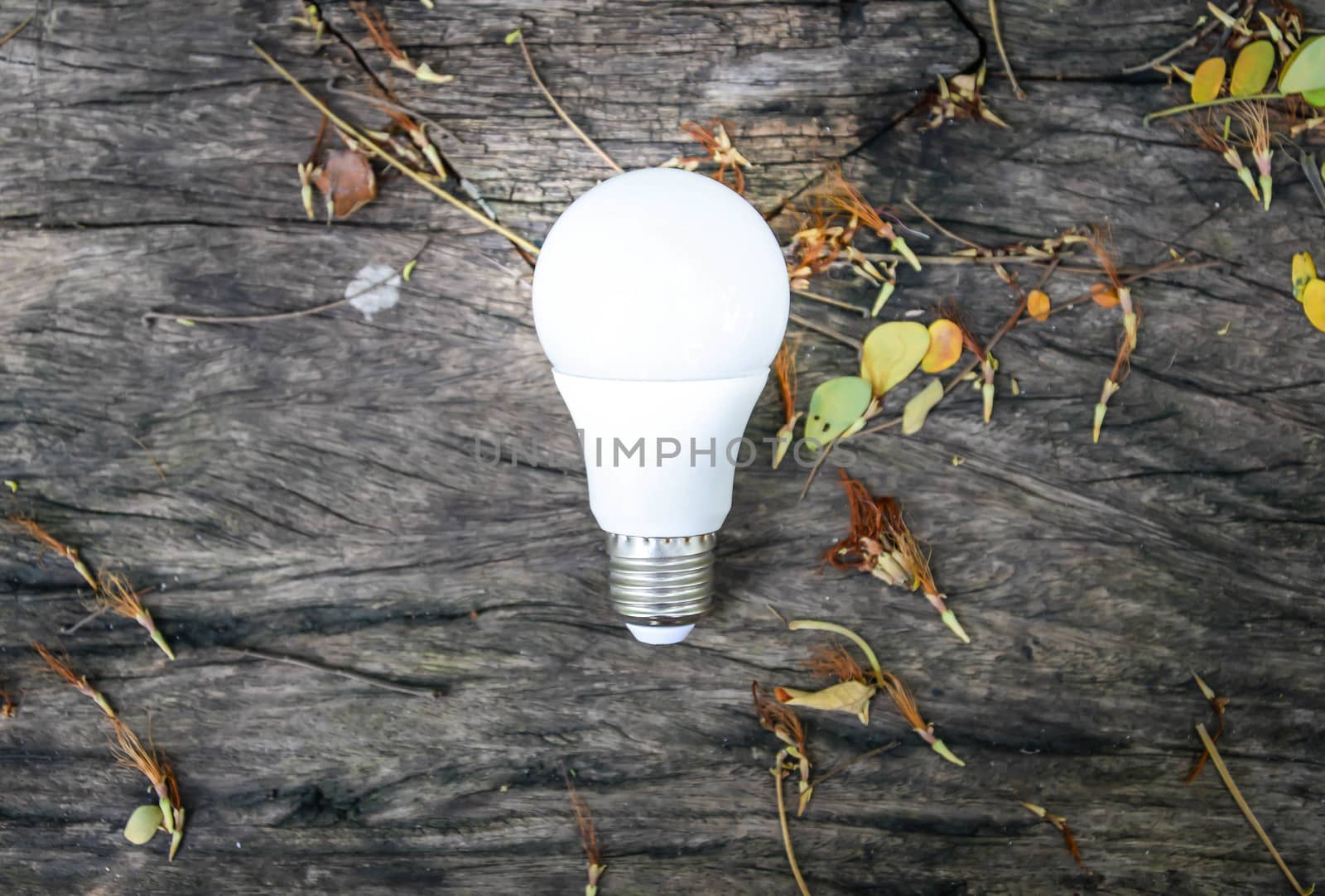 LED Bulb with lighting - Technology of eco-friendly lighting