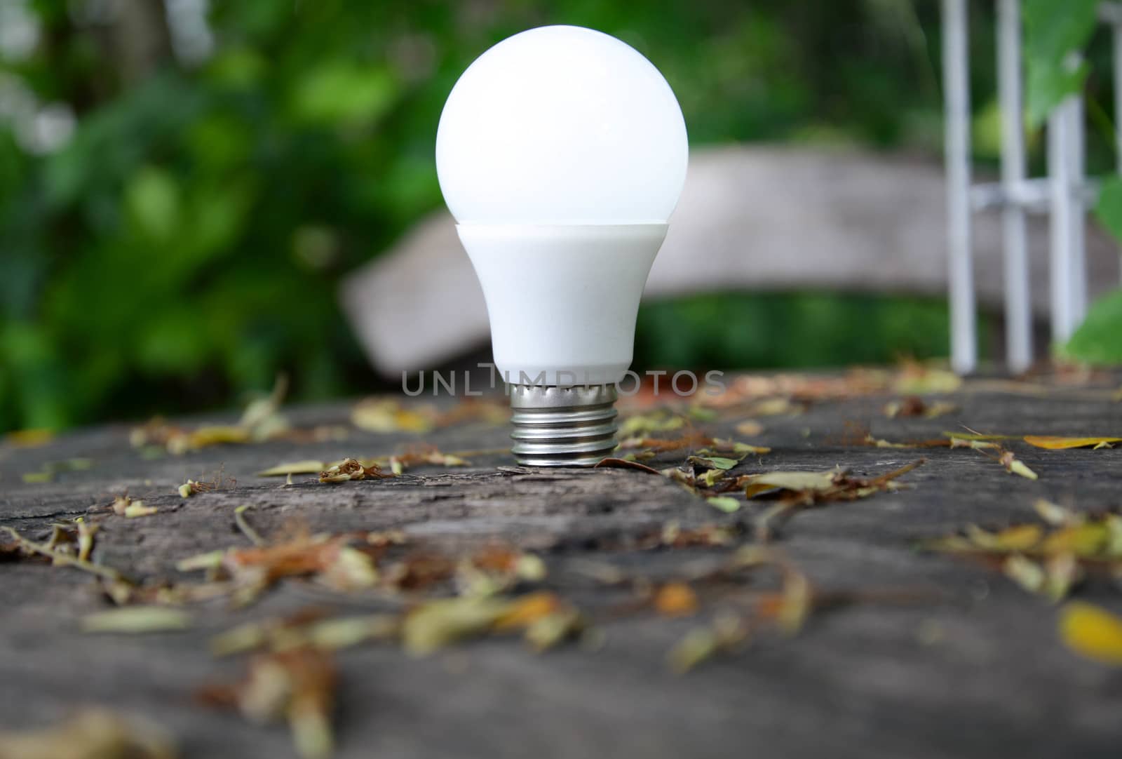 LED Bulb with lighting - Technology of eco-friendly lighting