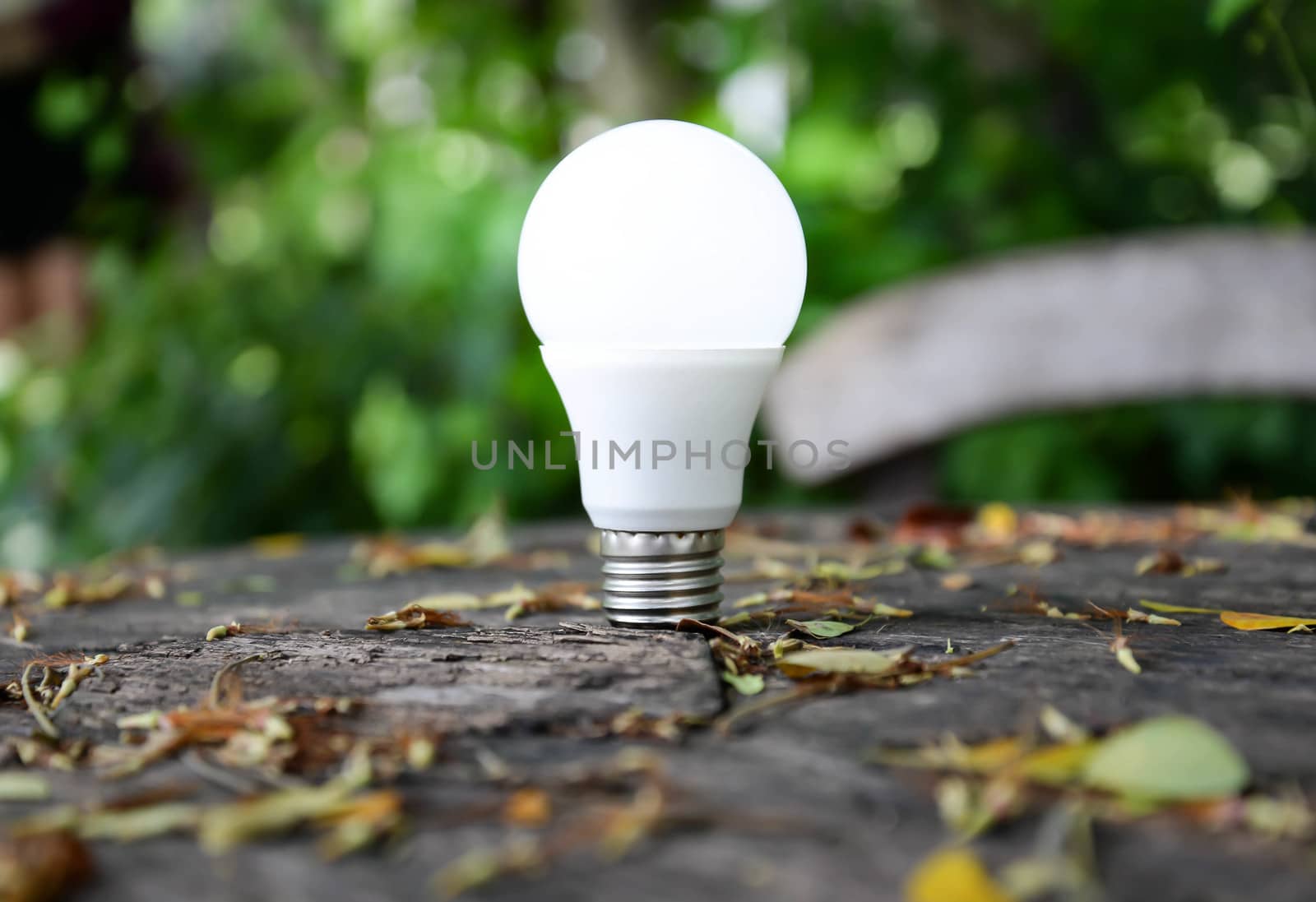 LED Bulb with lighting - Technology of eco-friendly lighting