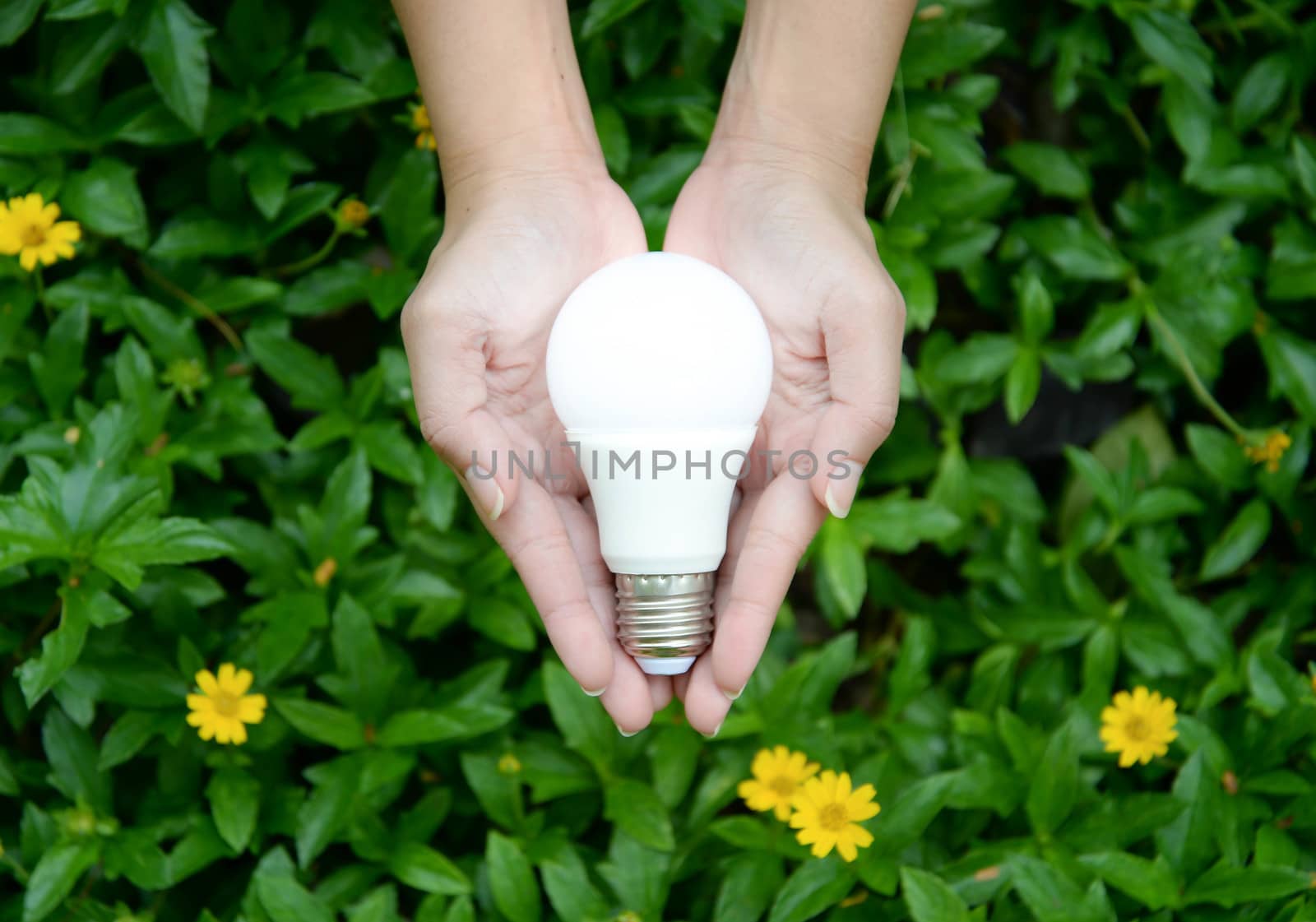 LED Bulb with lighting - Technology of eco-friendly lighting