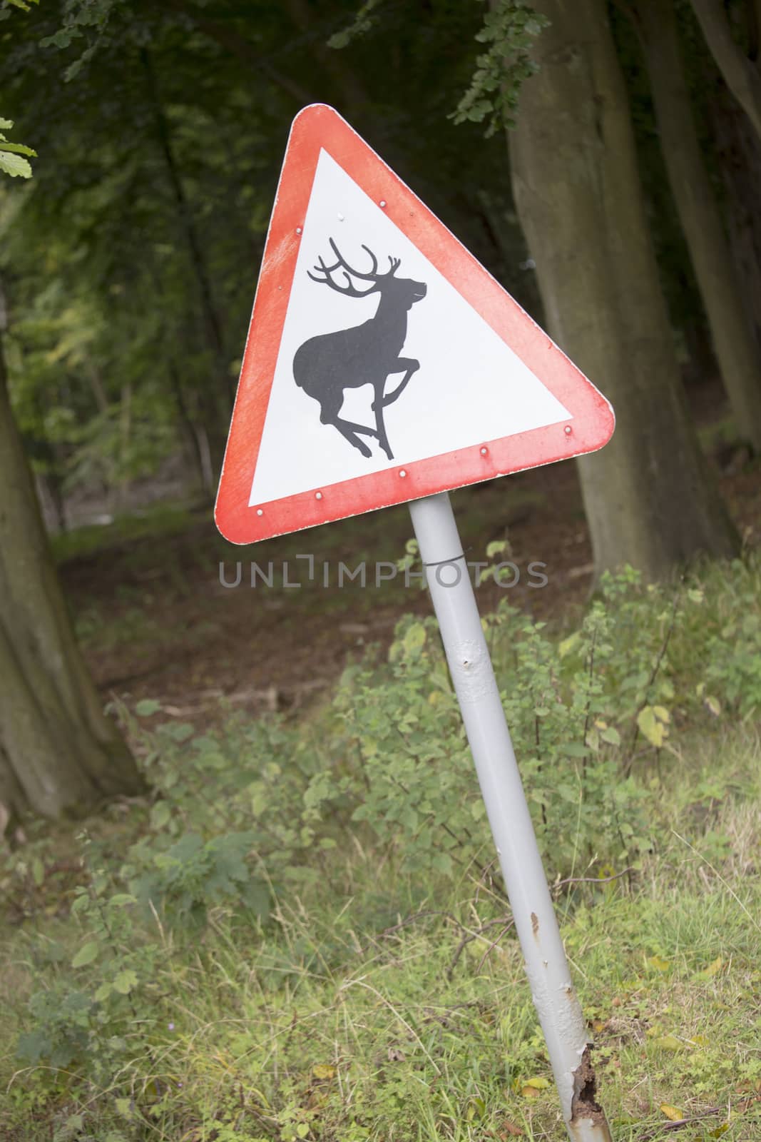 Close up of deer warning sign.