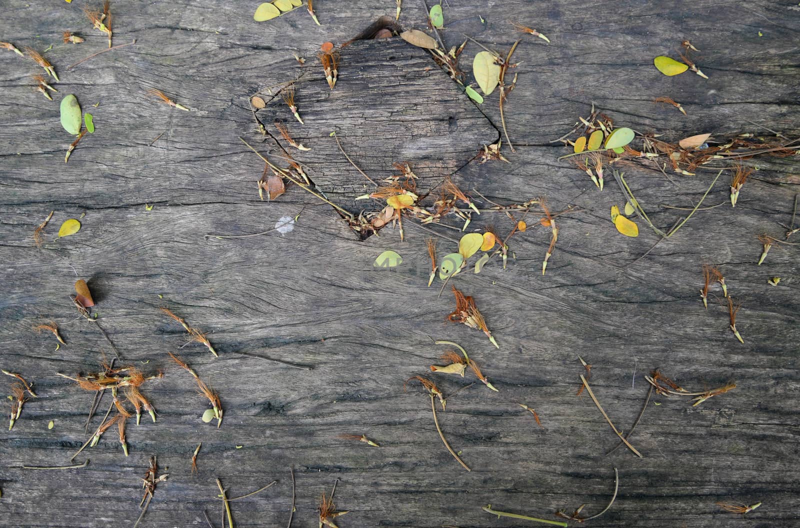 Wood and flowers scrap texture - Wallpaper