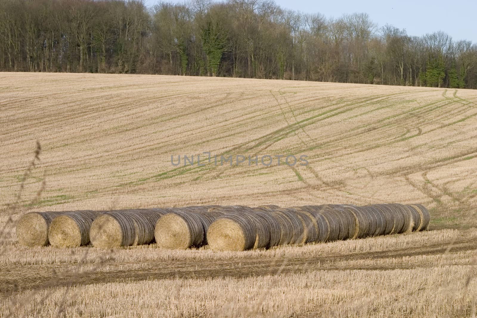 Bales of hay by mattkusb