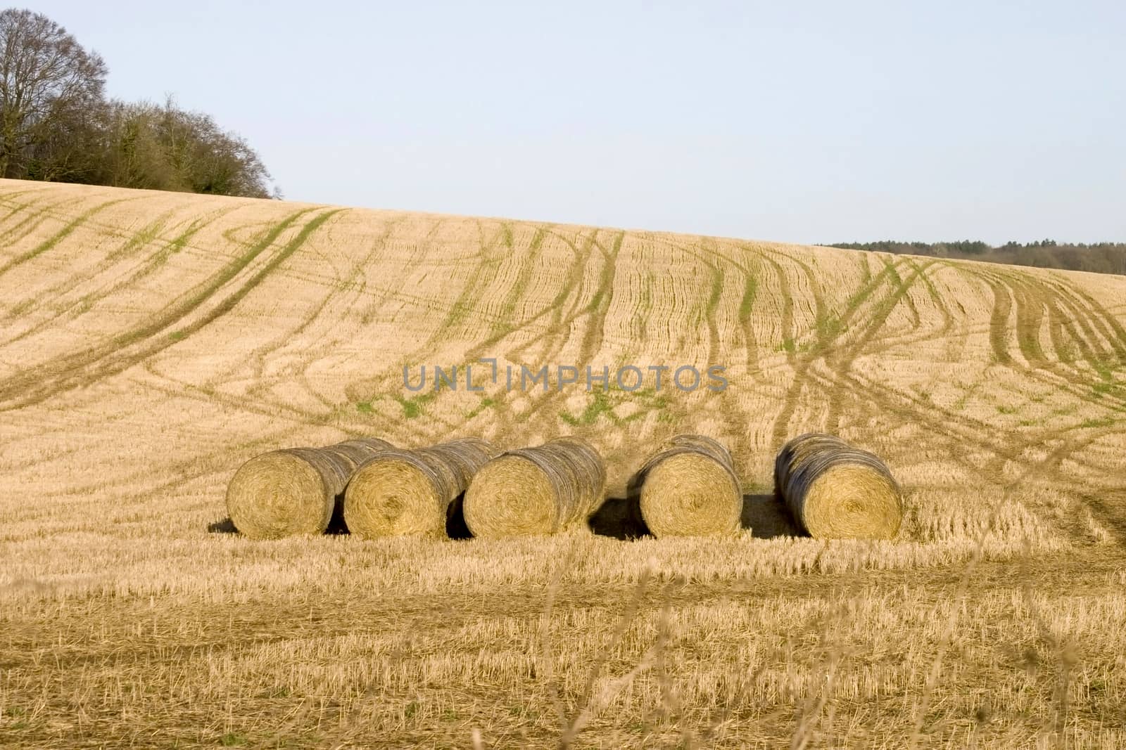 Bales of hay by mattkusb