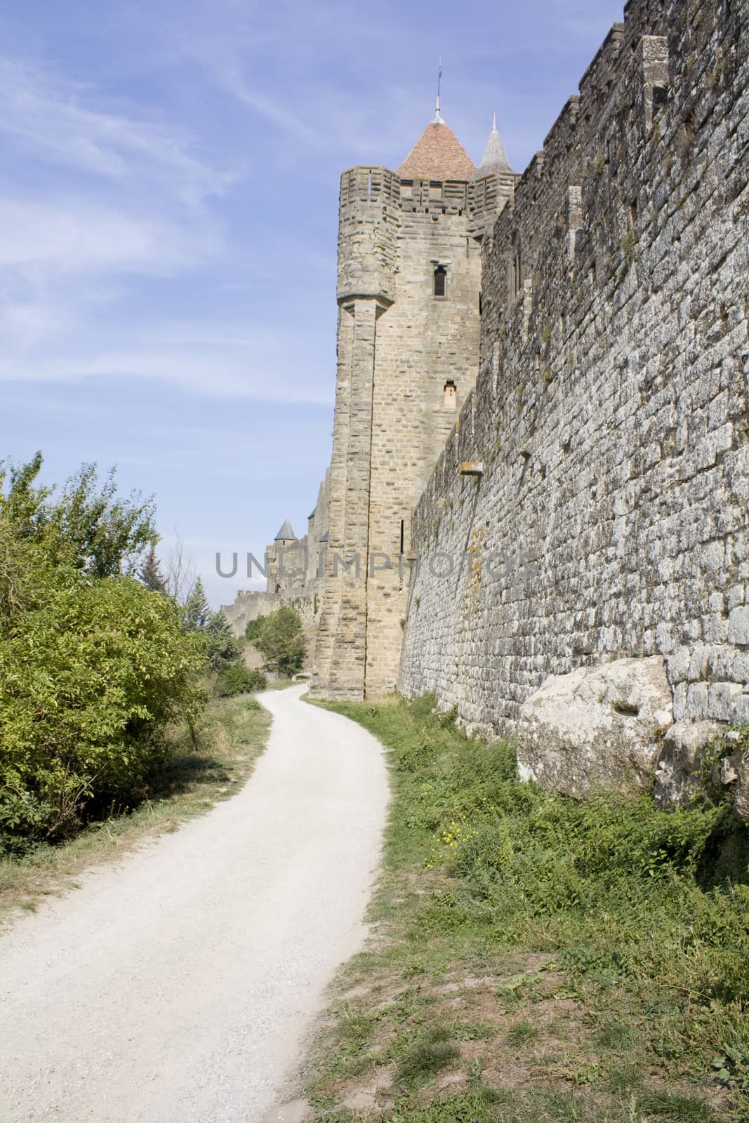 Carcassone castle by mattkusb