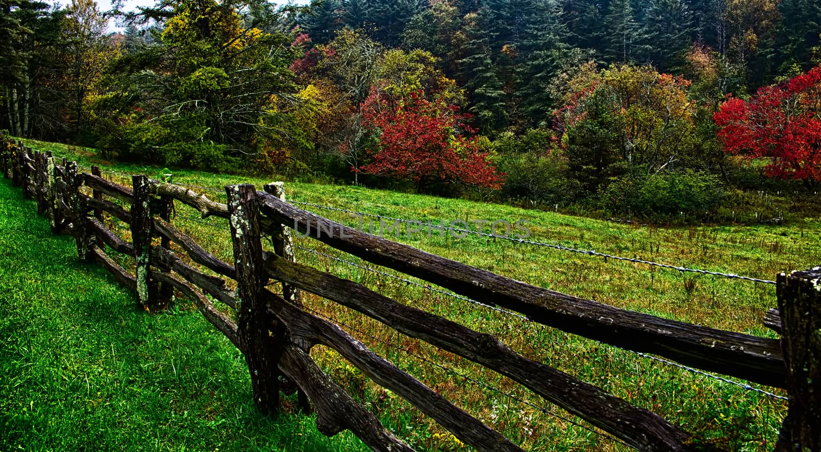 autumng season in the smoky mountains by digidreamgrafix