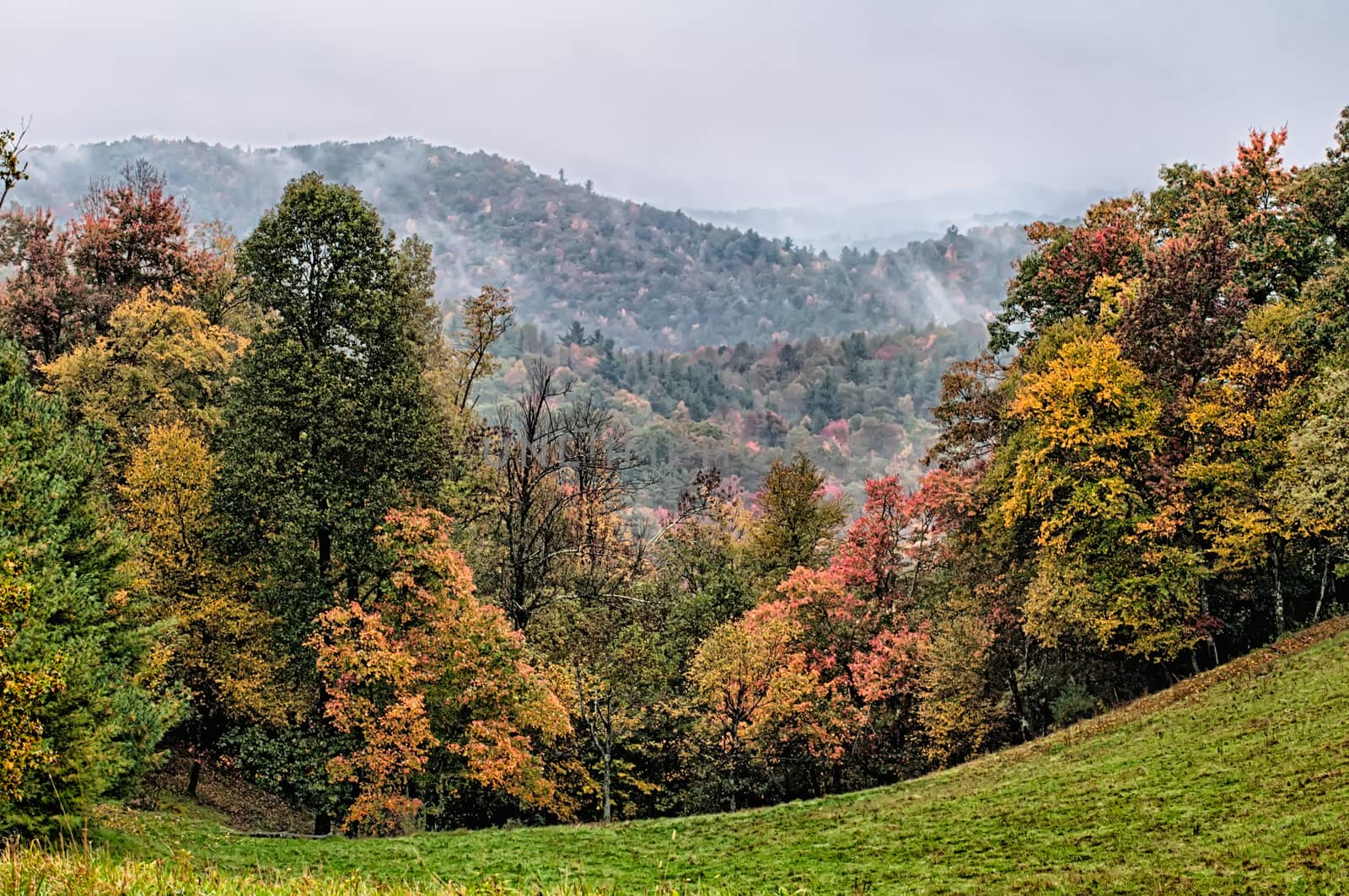 autumn drive on blue ridge parkway by digidreamgrafix