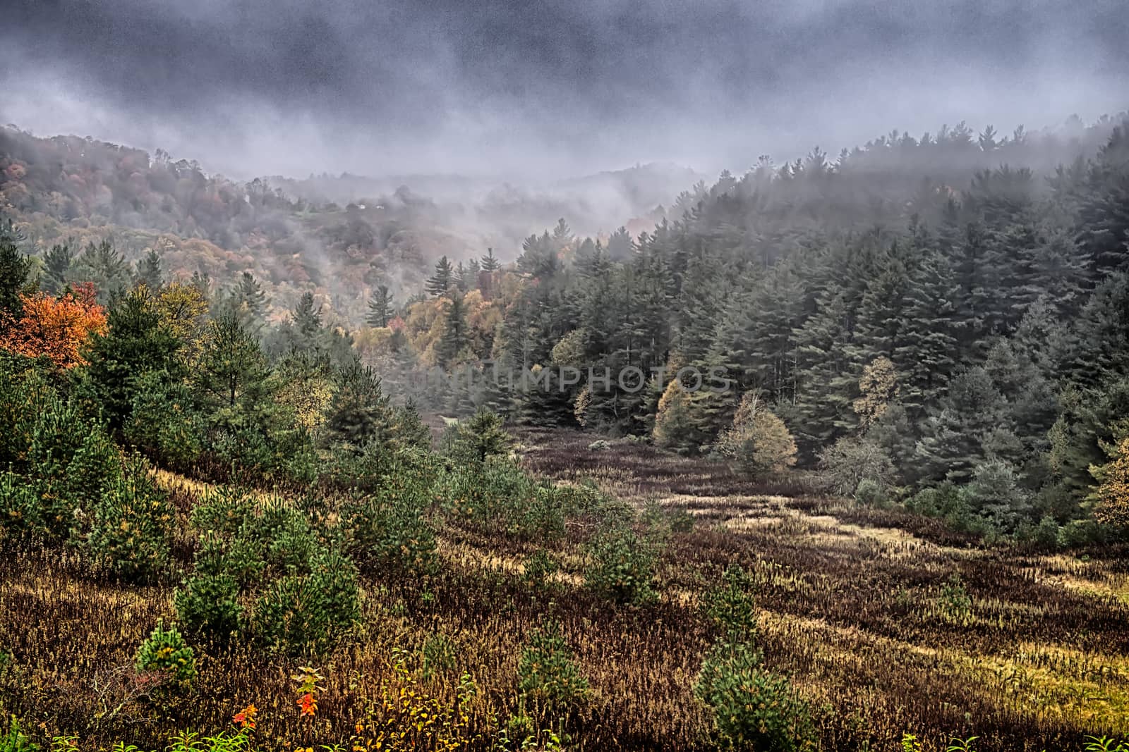 autumng season in the smoky mountains by digidreamgrafix