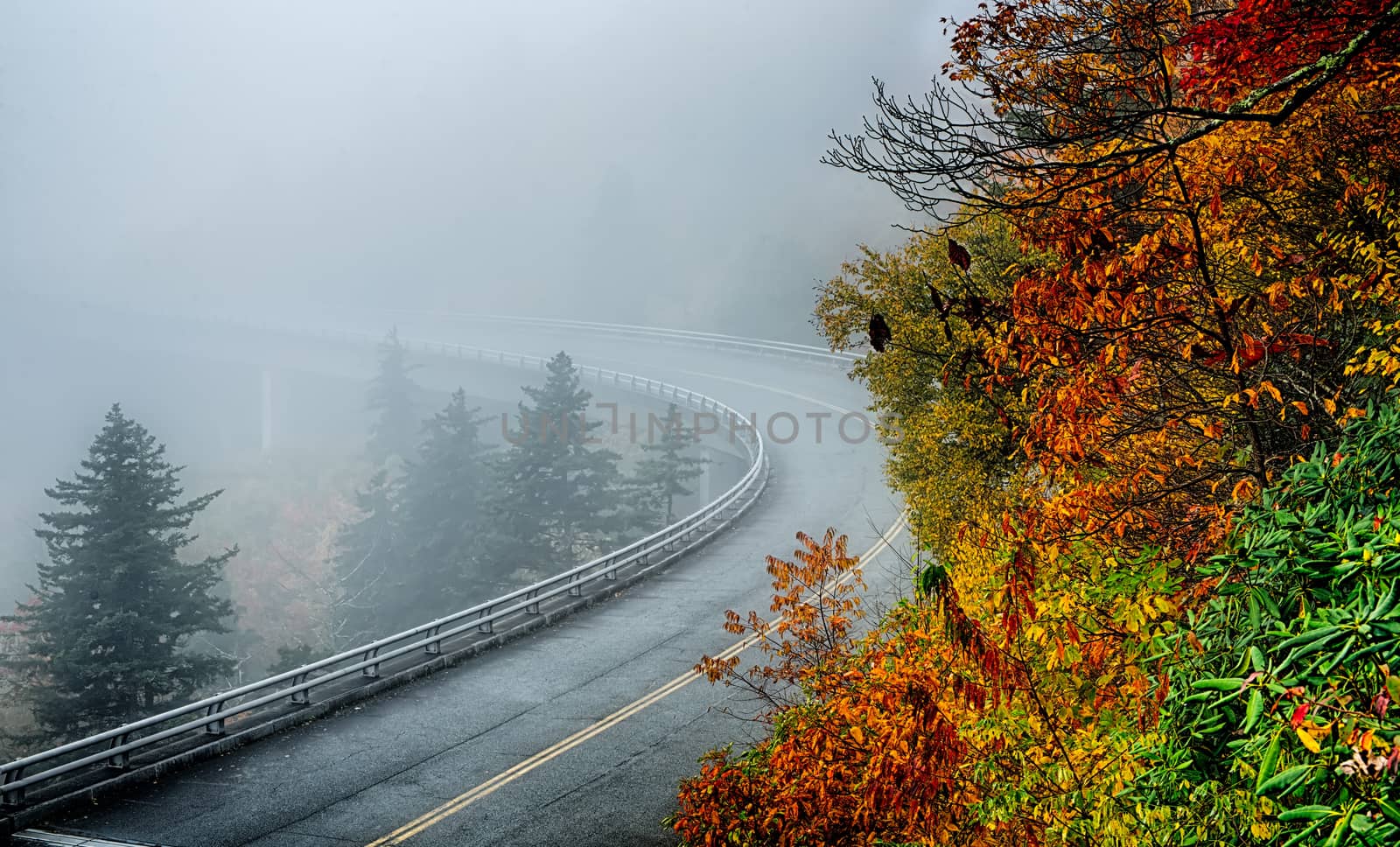 autumng season in the smoky mountains by digidreamgrafix